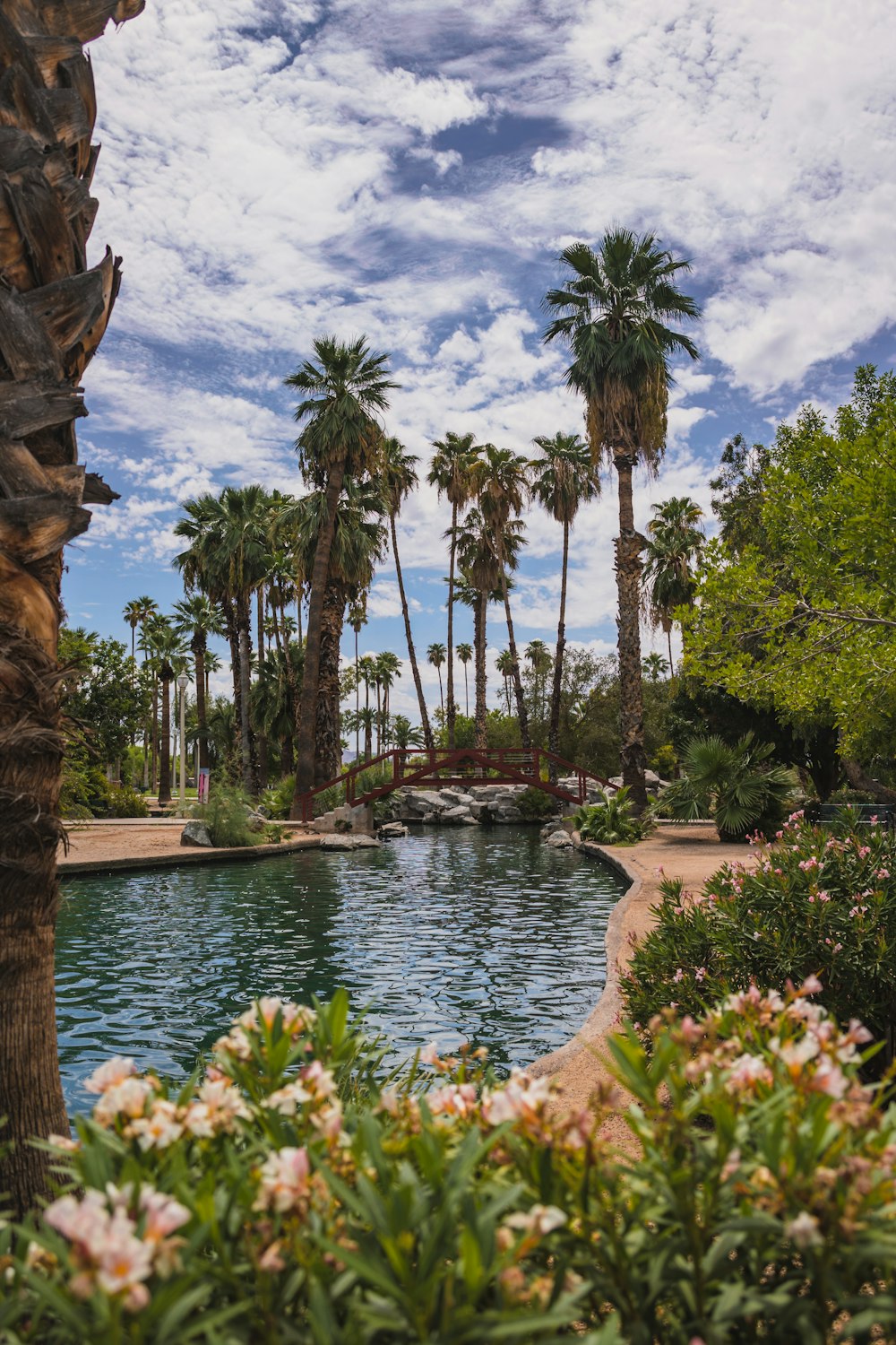 a pool surrounded by palm trees and flowers