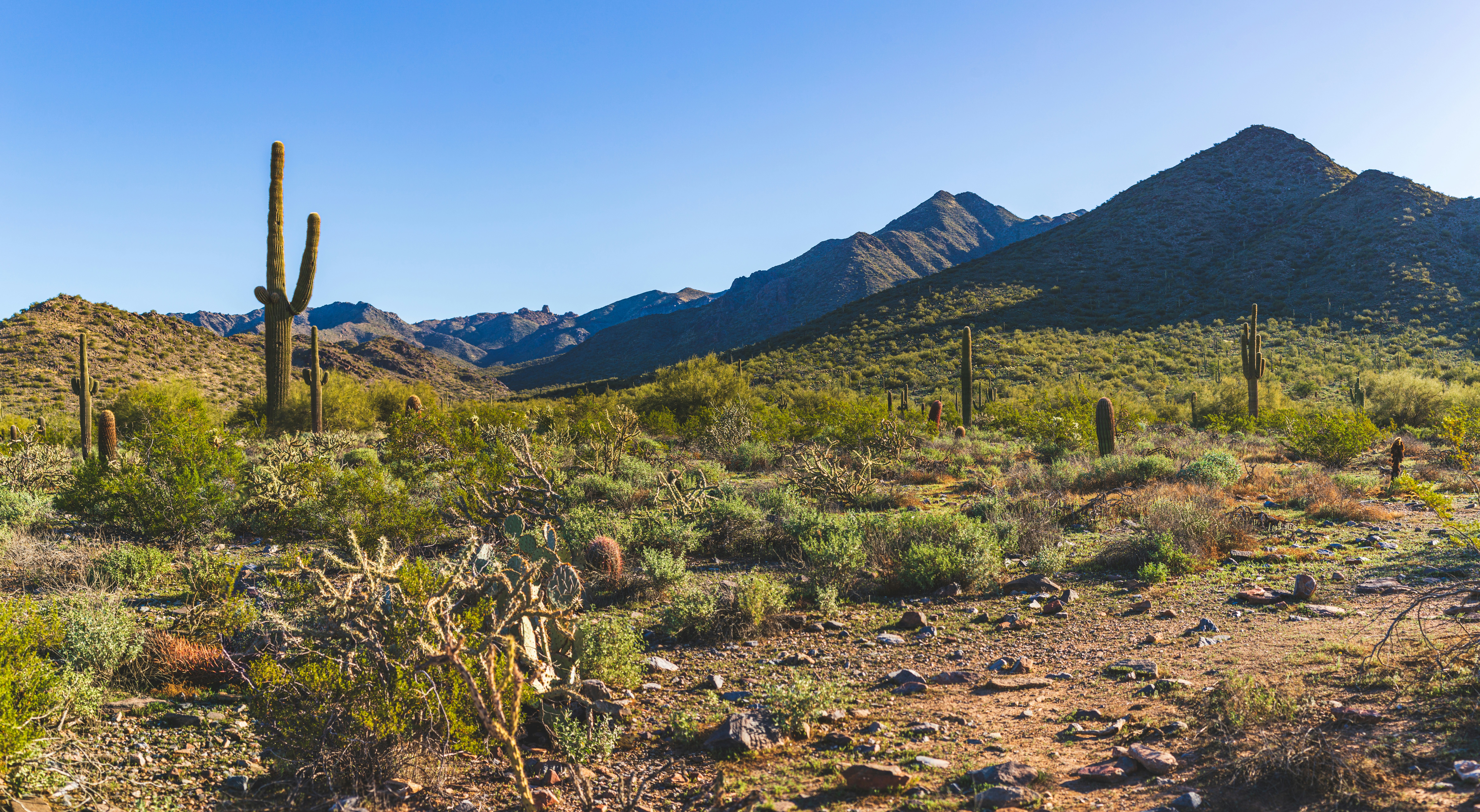scottsdale