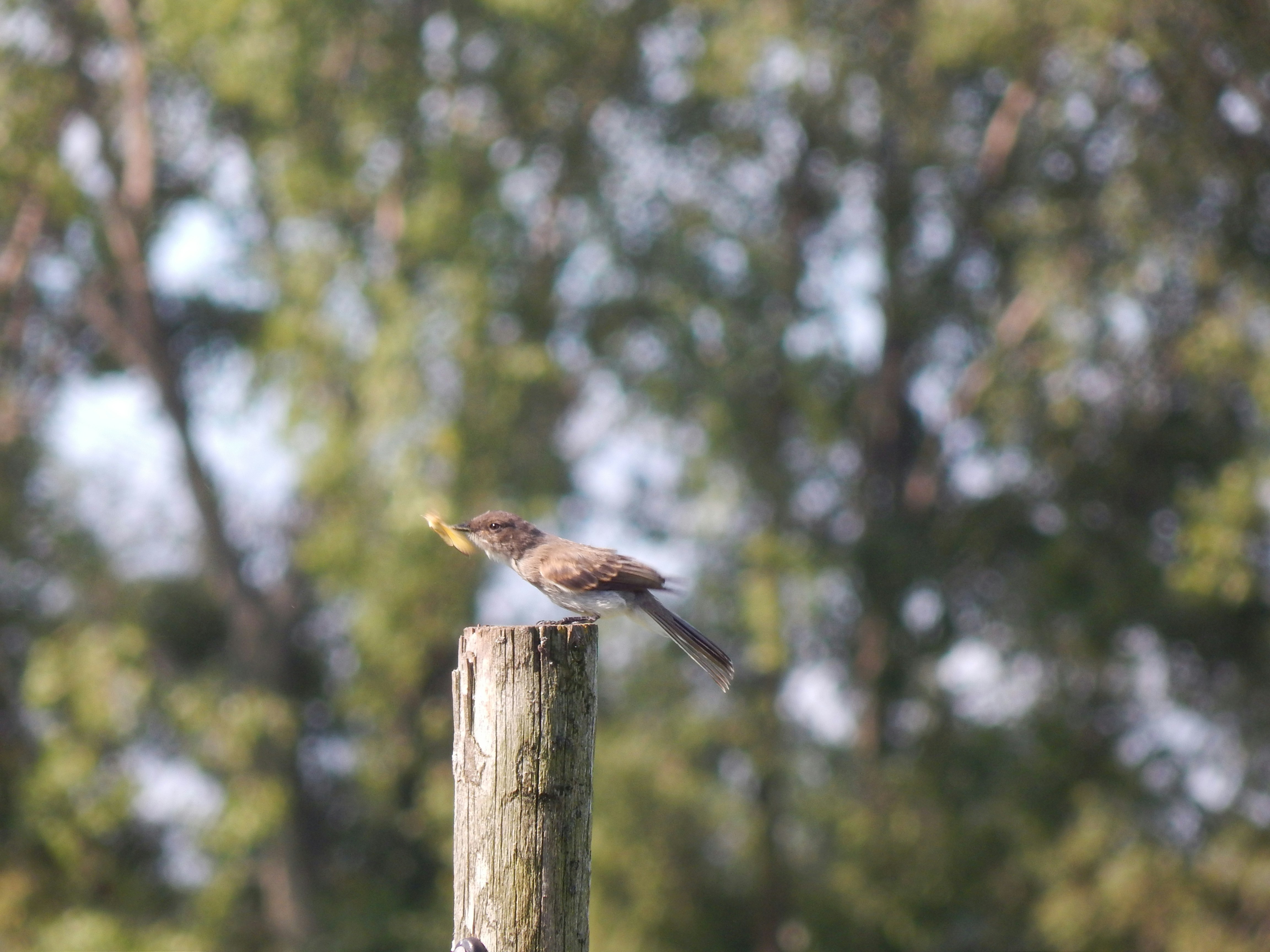 Photo by scarlettweiss