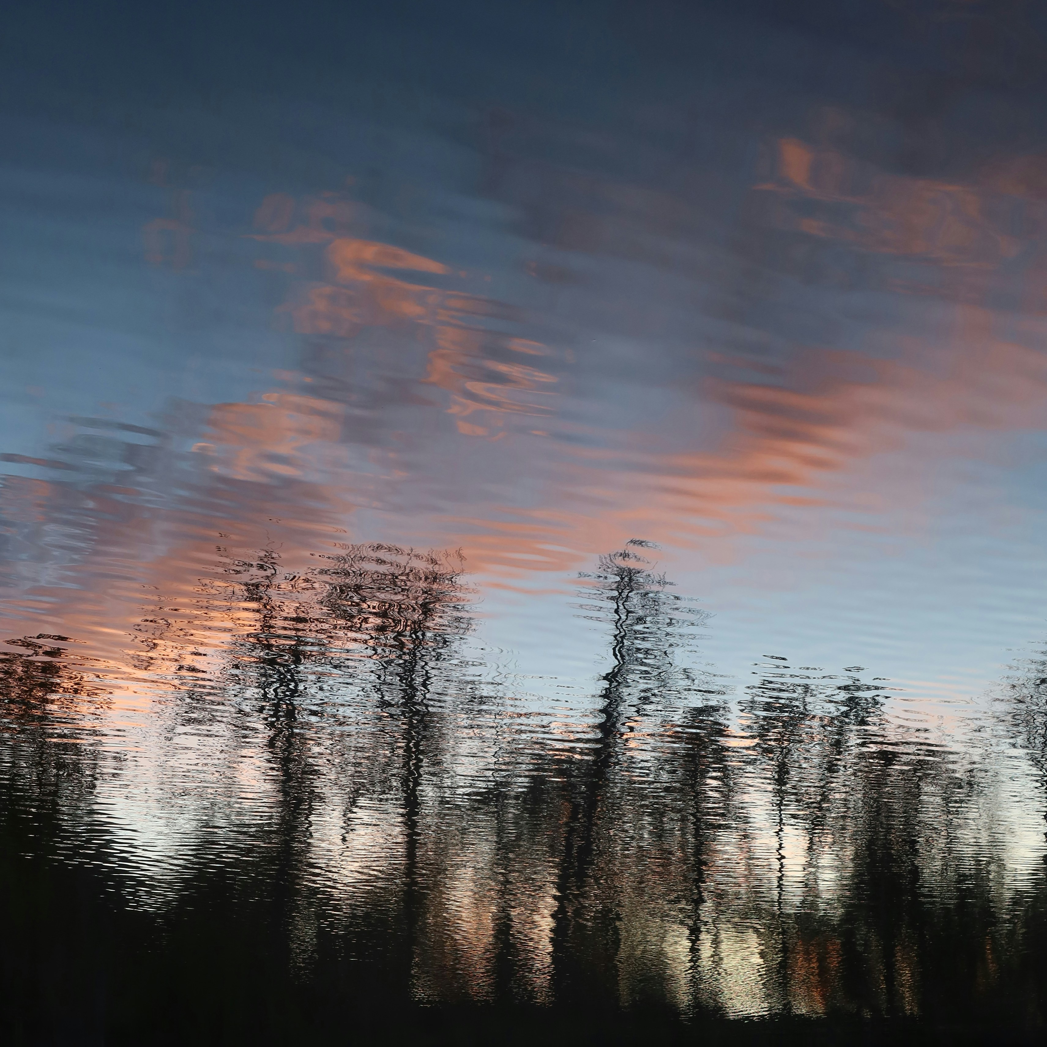 A reflection of trees in a body of water photo – Free Nature Image on ...
