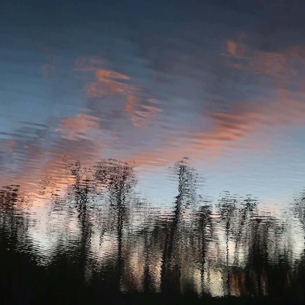 a reflection of trees in a body of water