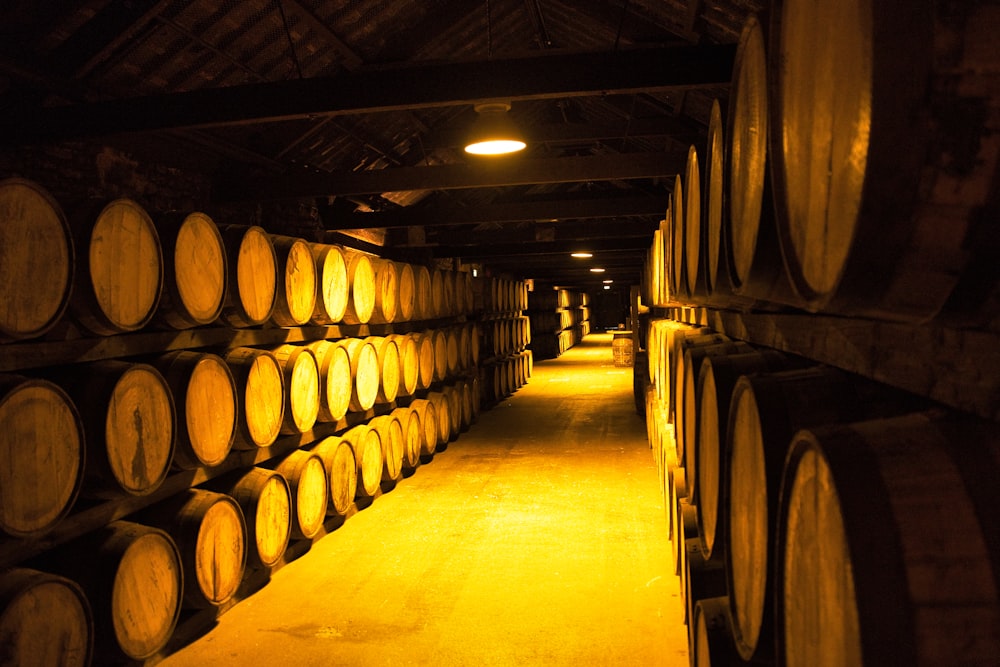 a long row of wine barrels lined up in a cellar