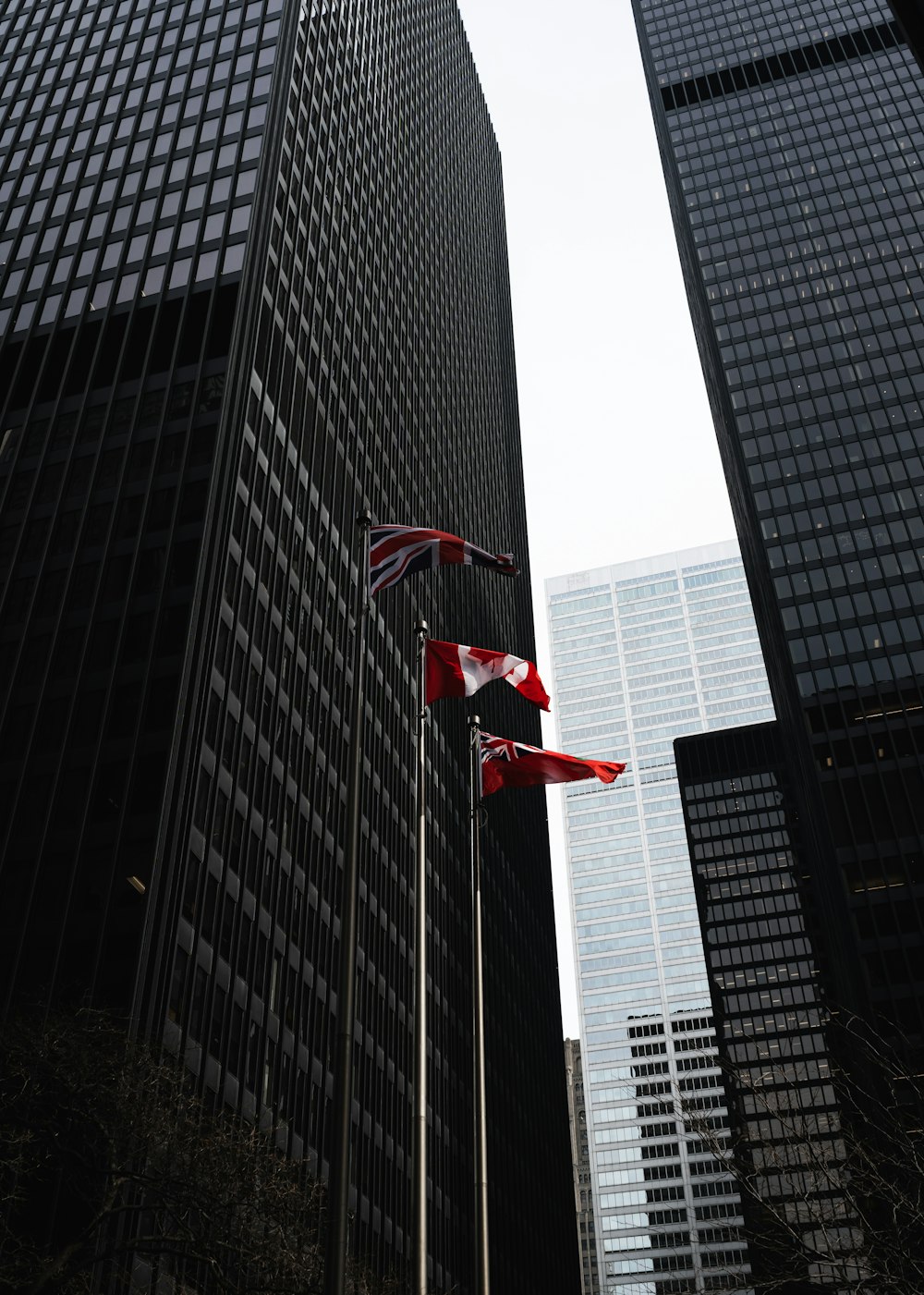 two flags flying in the wind in a city