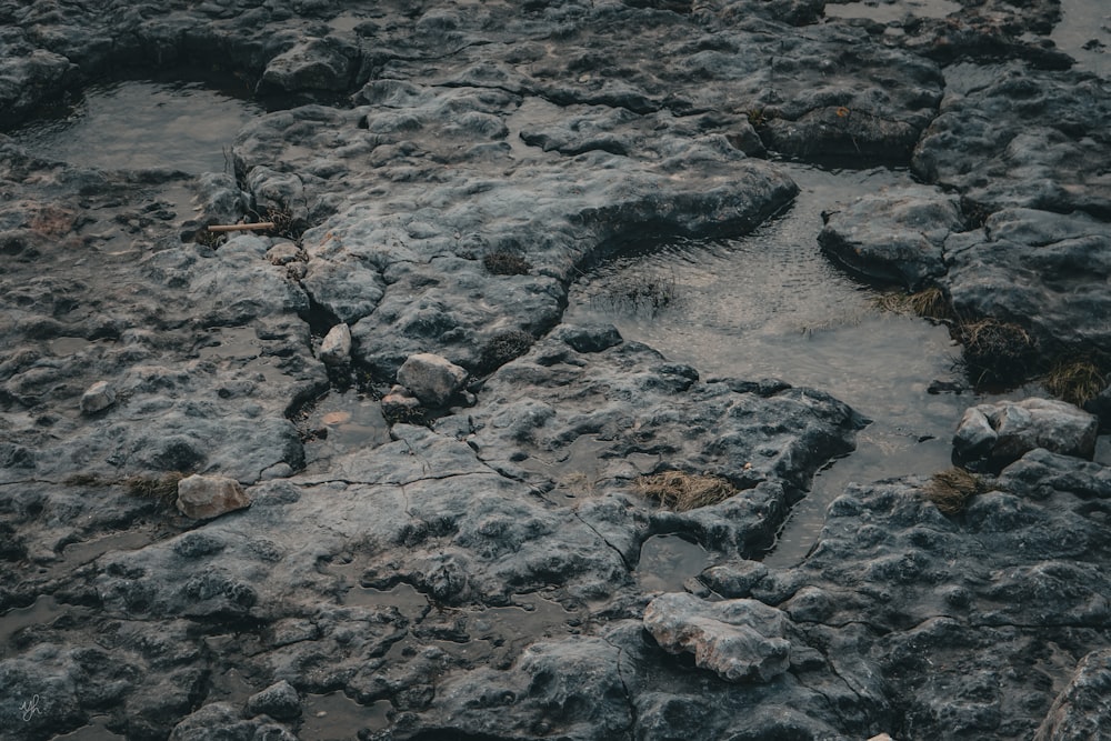 a close up of rocks and water in a body of water