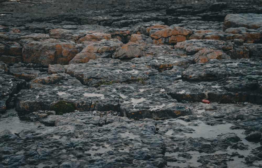 a bunch of rocks that are covered in water