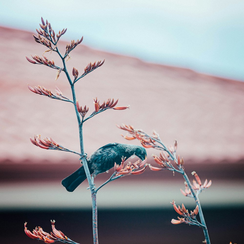 a small bird sitting on top of a tree branch