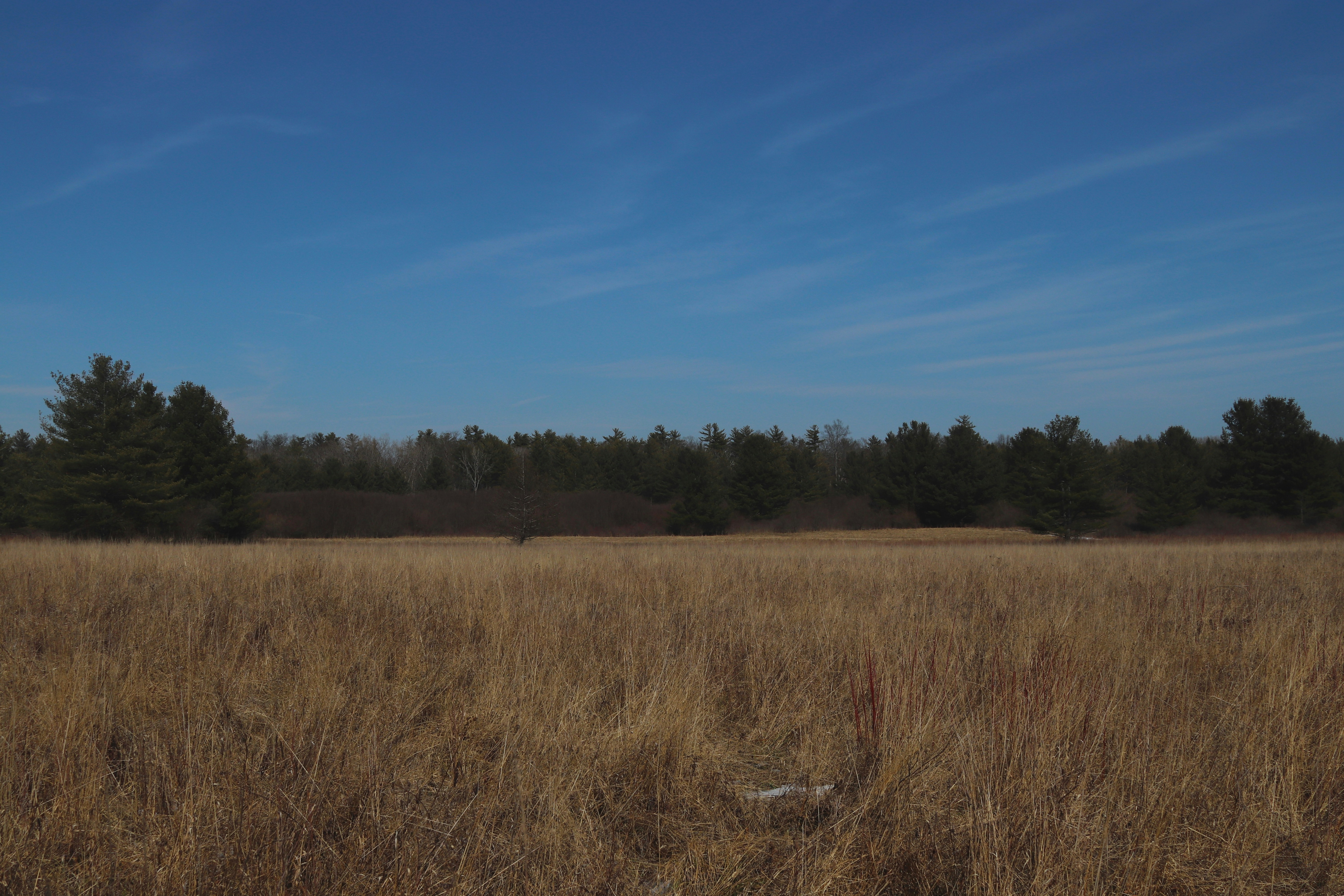 Conversion Science for Property Landing Pages: Advanced Tests That Win in 2026