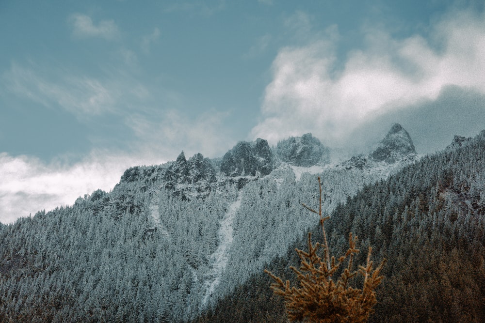 a mountain covered in snow and trees under a cloudy sky