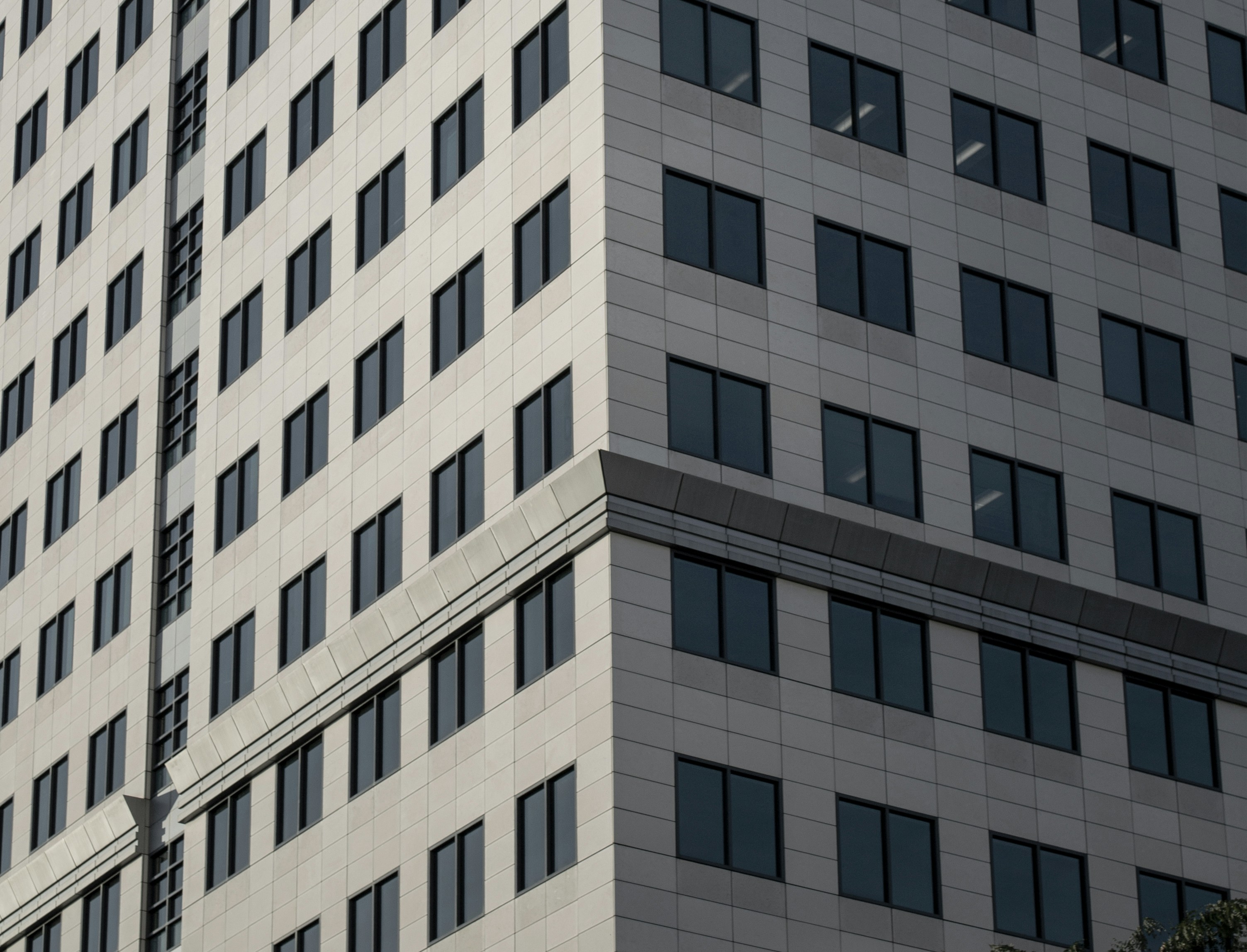 Photo by ashsaribekyan