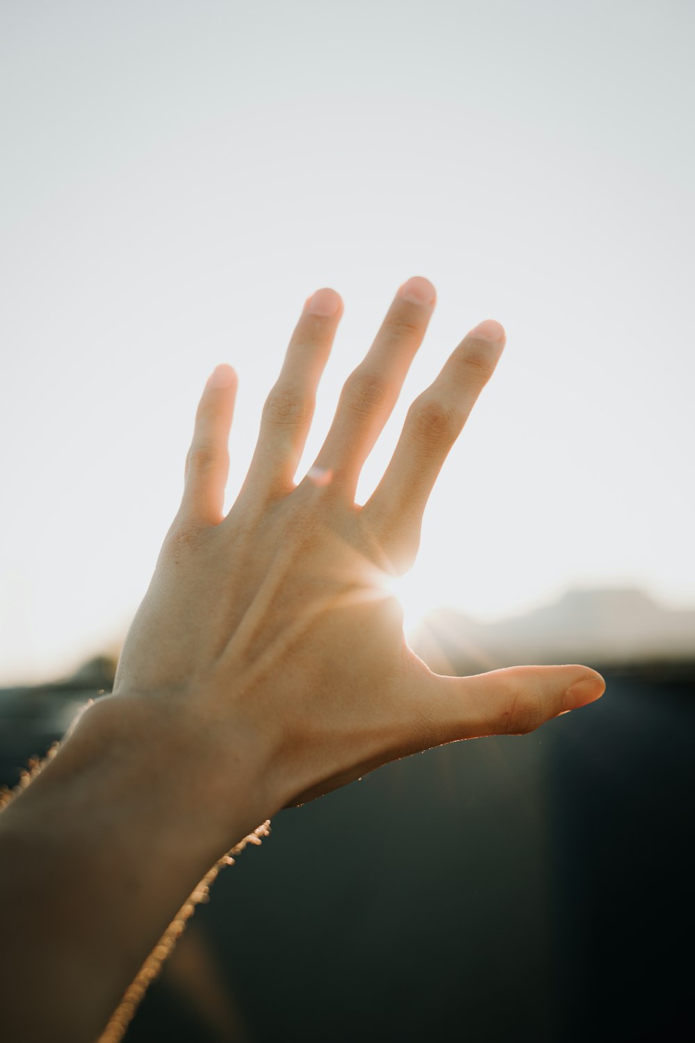 a person holding their hand out to the sun