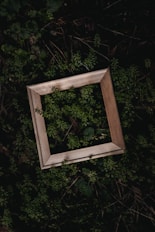 a picture frame sitting in the middle of a forest