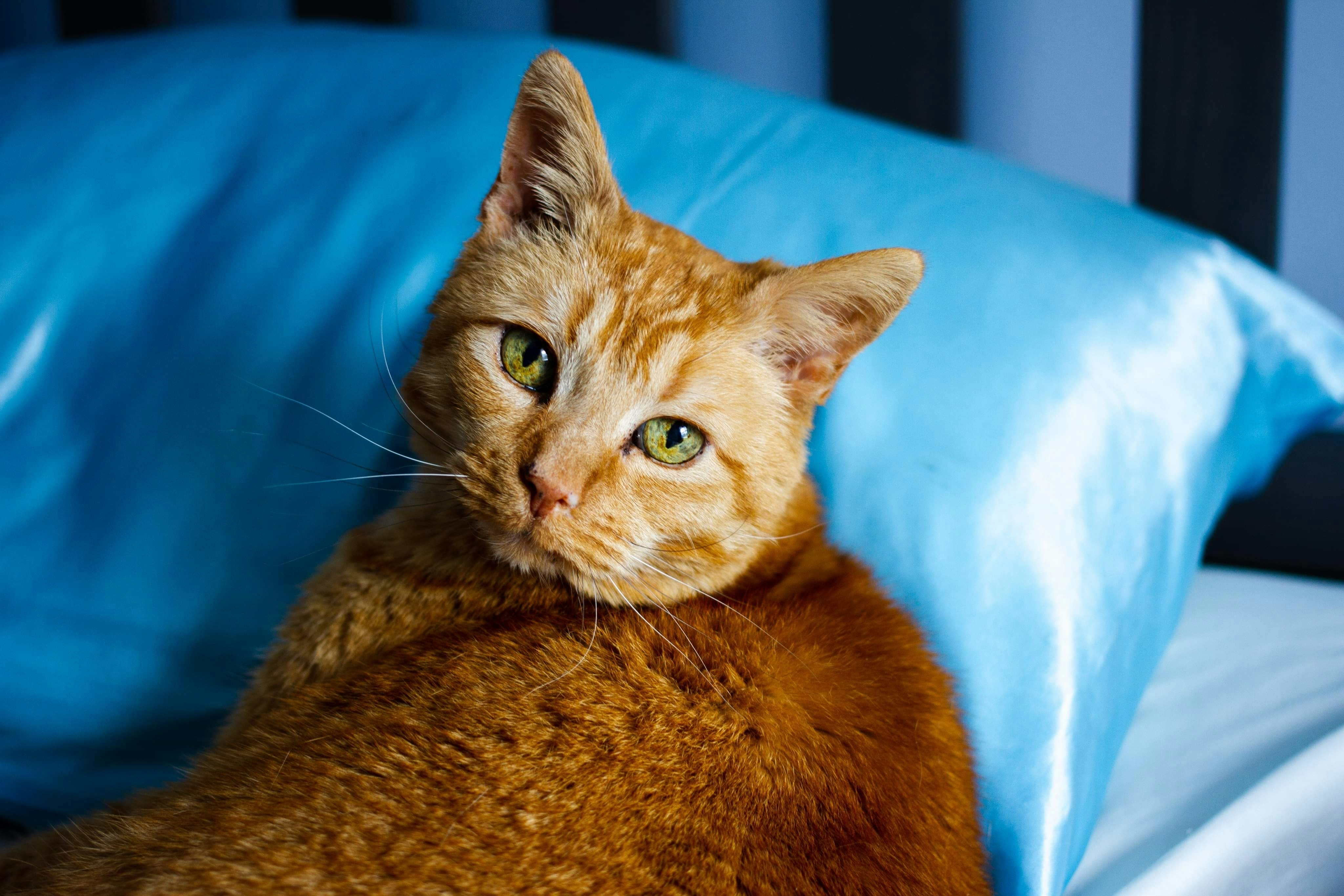 Photo by pinets_photography