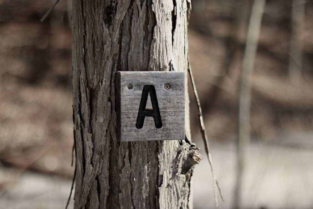 a sign that is on a tree in the woods