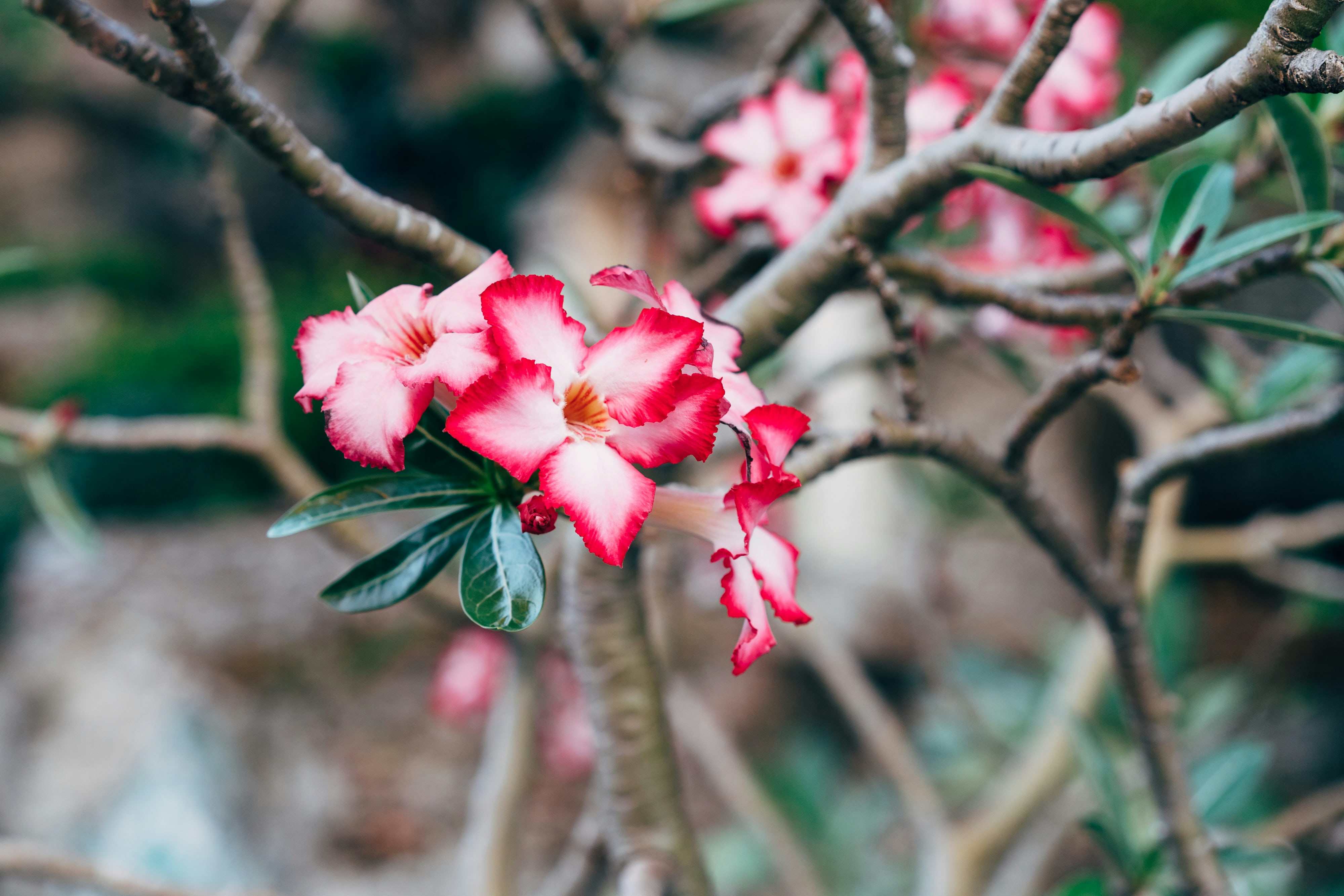 Photo by markuswinkler