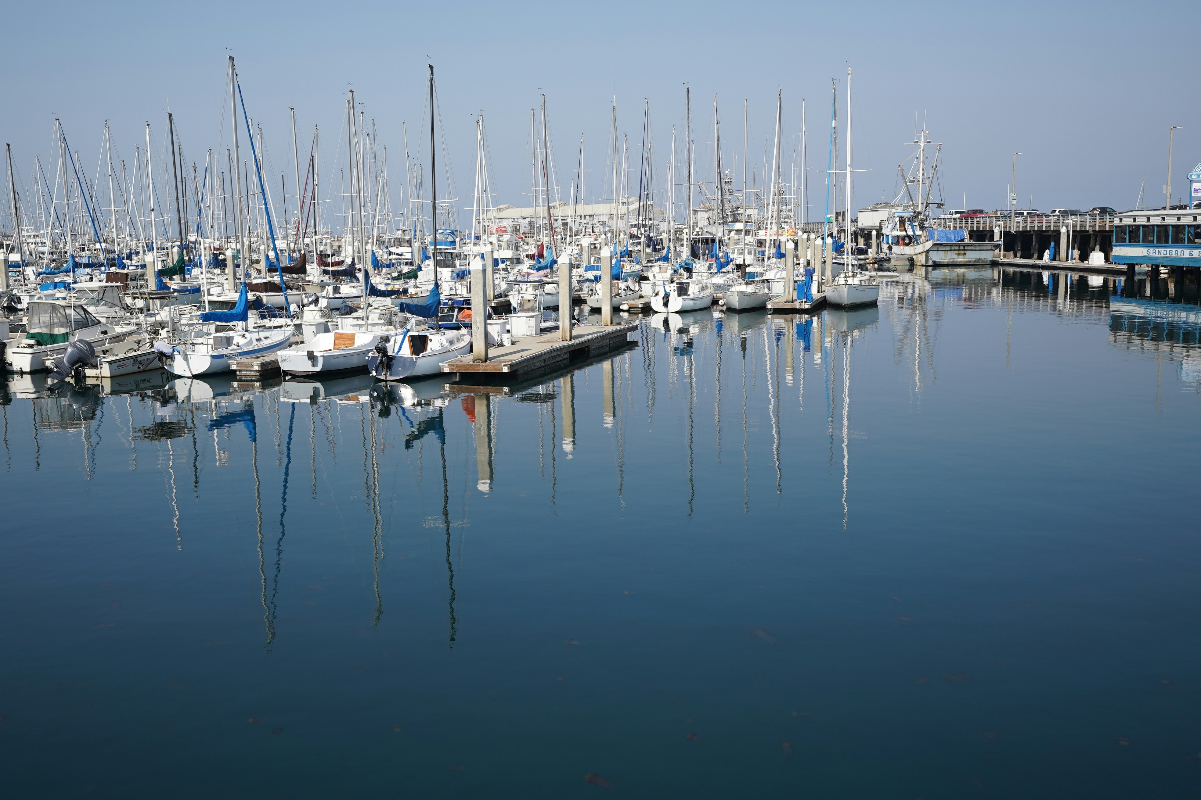 Photo by ghostdogg187