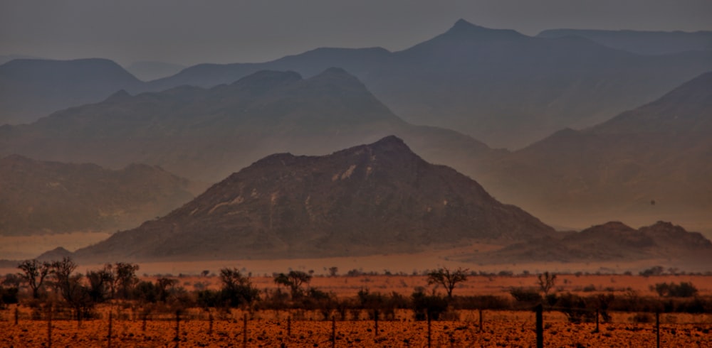 a mountain range in the distance with trees in the foreground