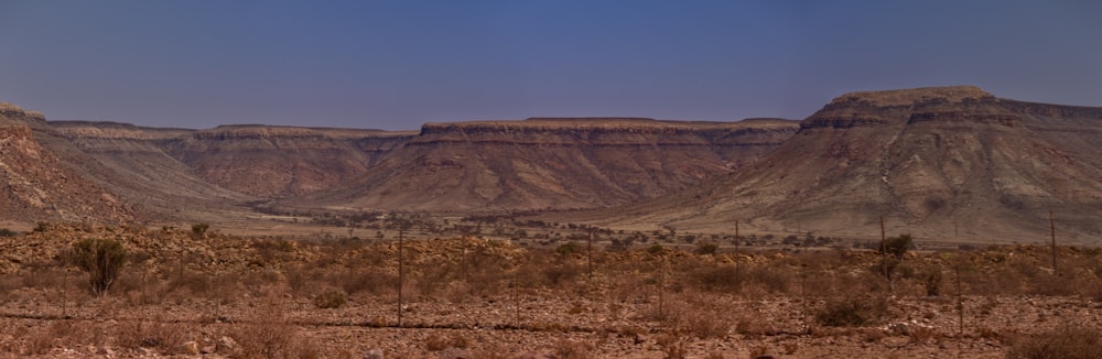 a desert landscape with mountains in the background