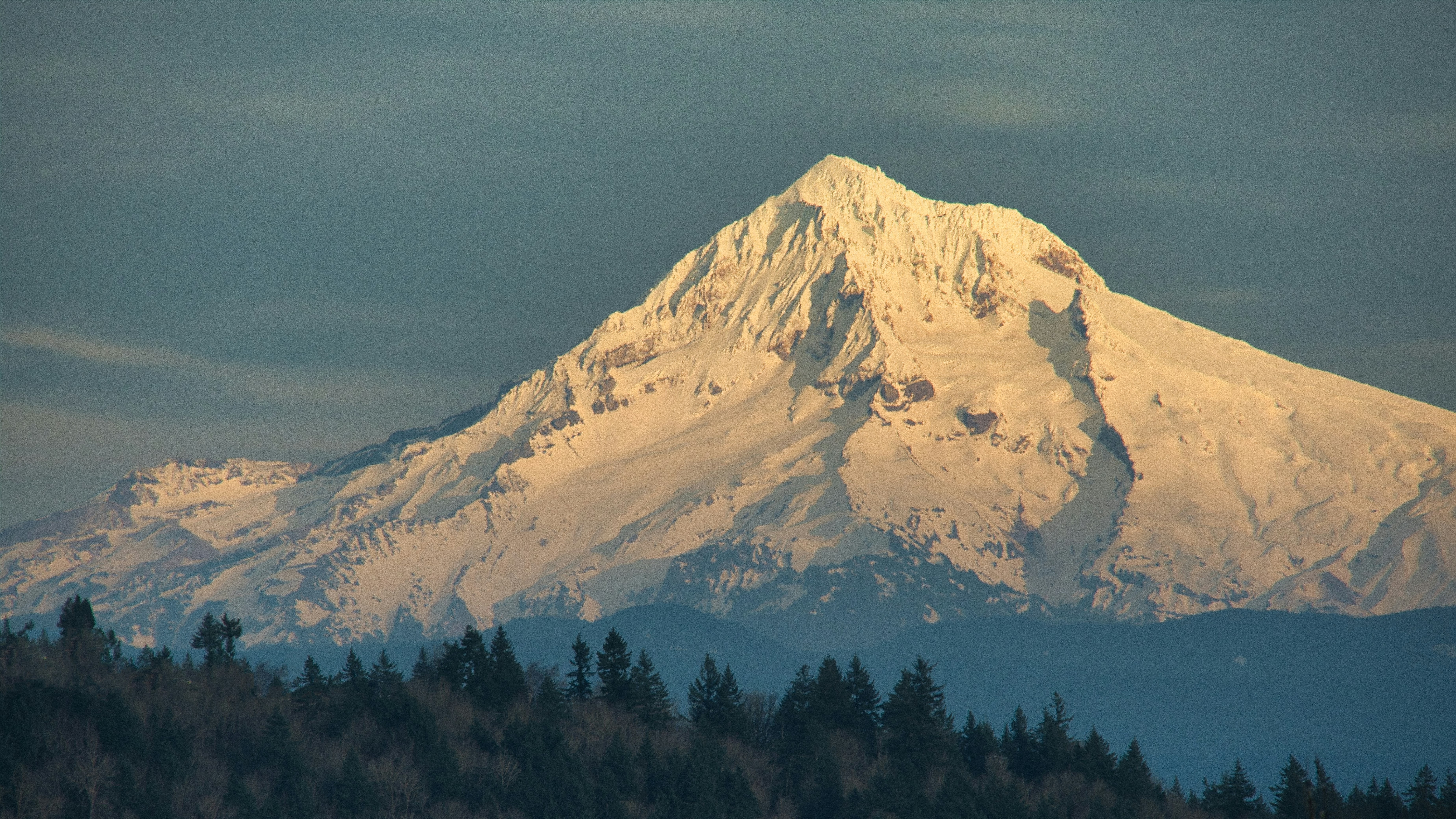 a snow covered mountain with trees in the foreground