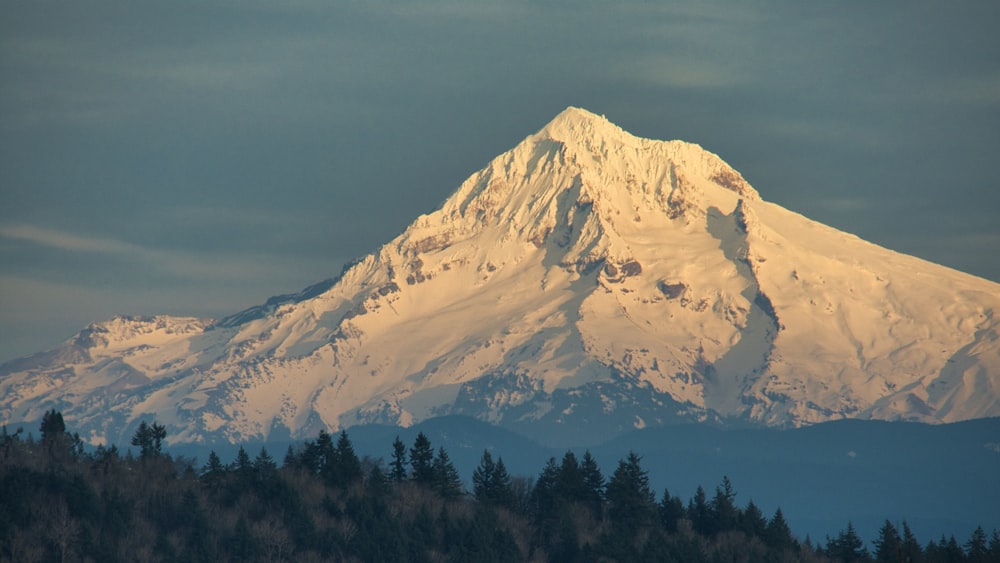 a snow covered mountain with trees in the foreground