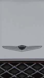 a close up of the emblem on the front of a car