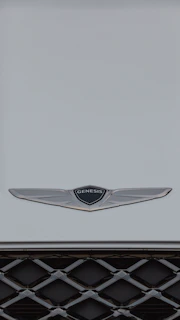 a close up of the emblem on the front of a car