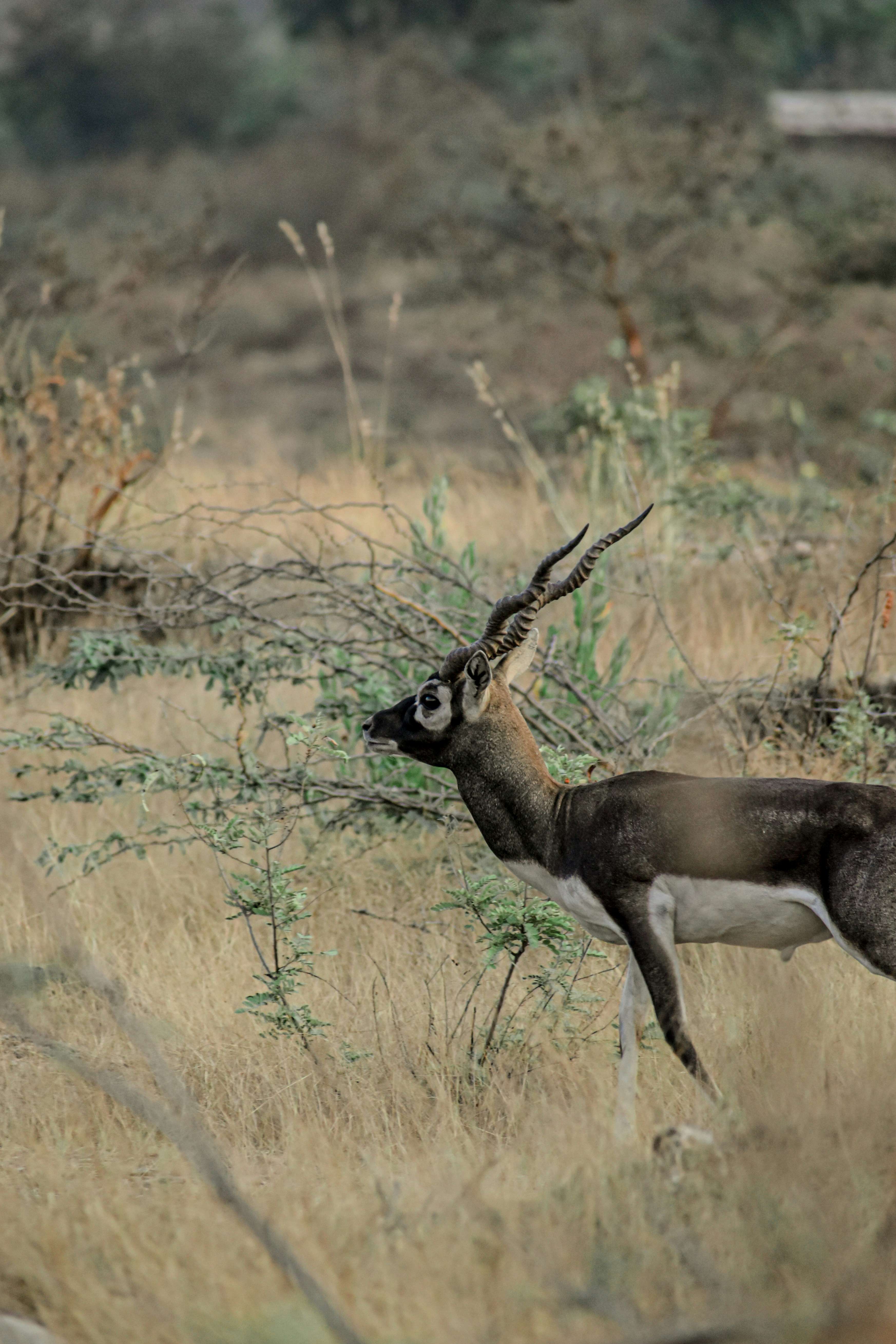 Photo by aditya_ghodke