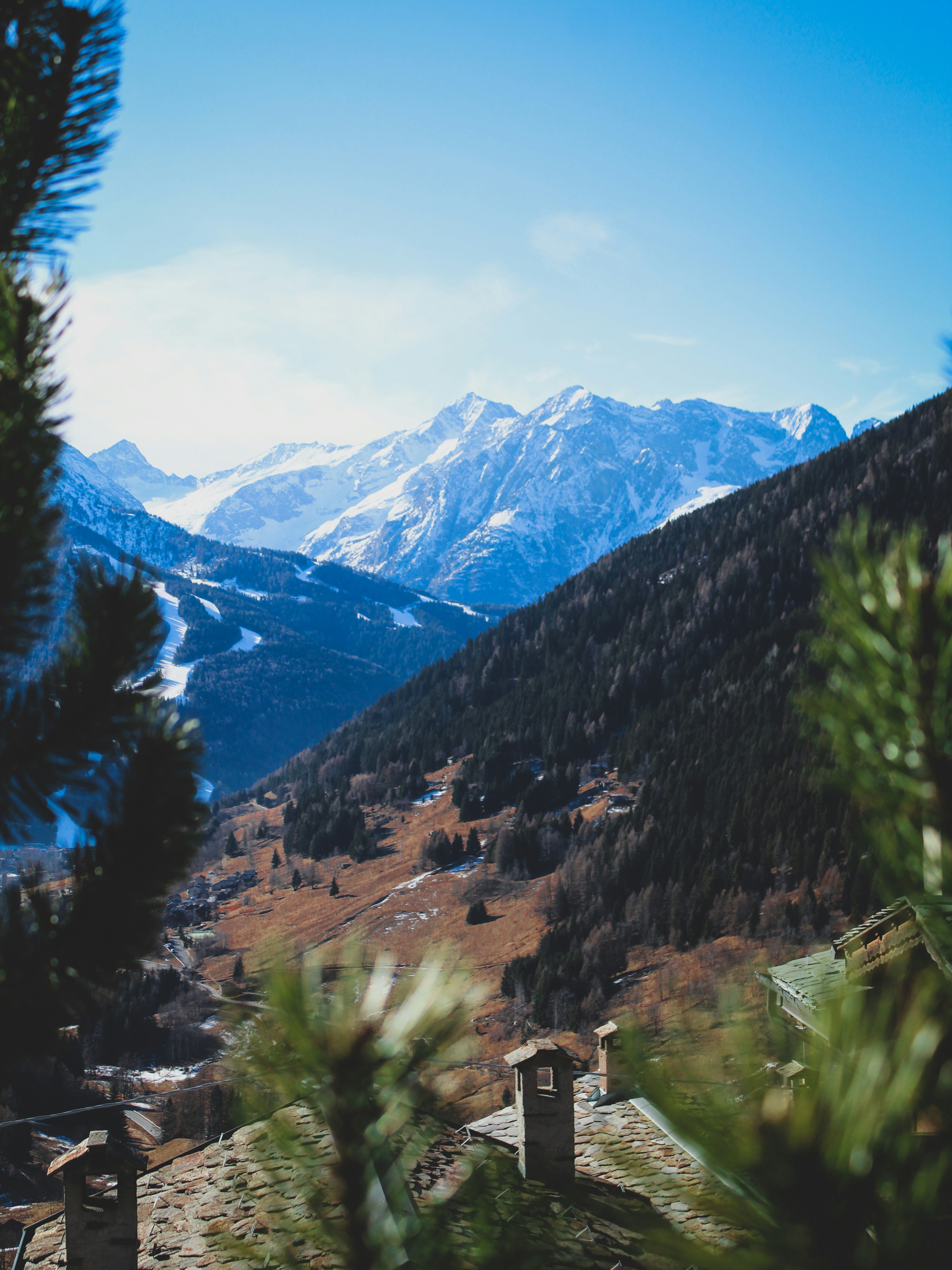 Photo by nicolafittipaldi