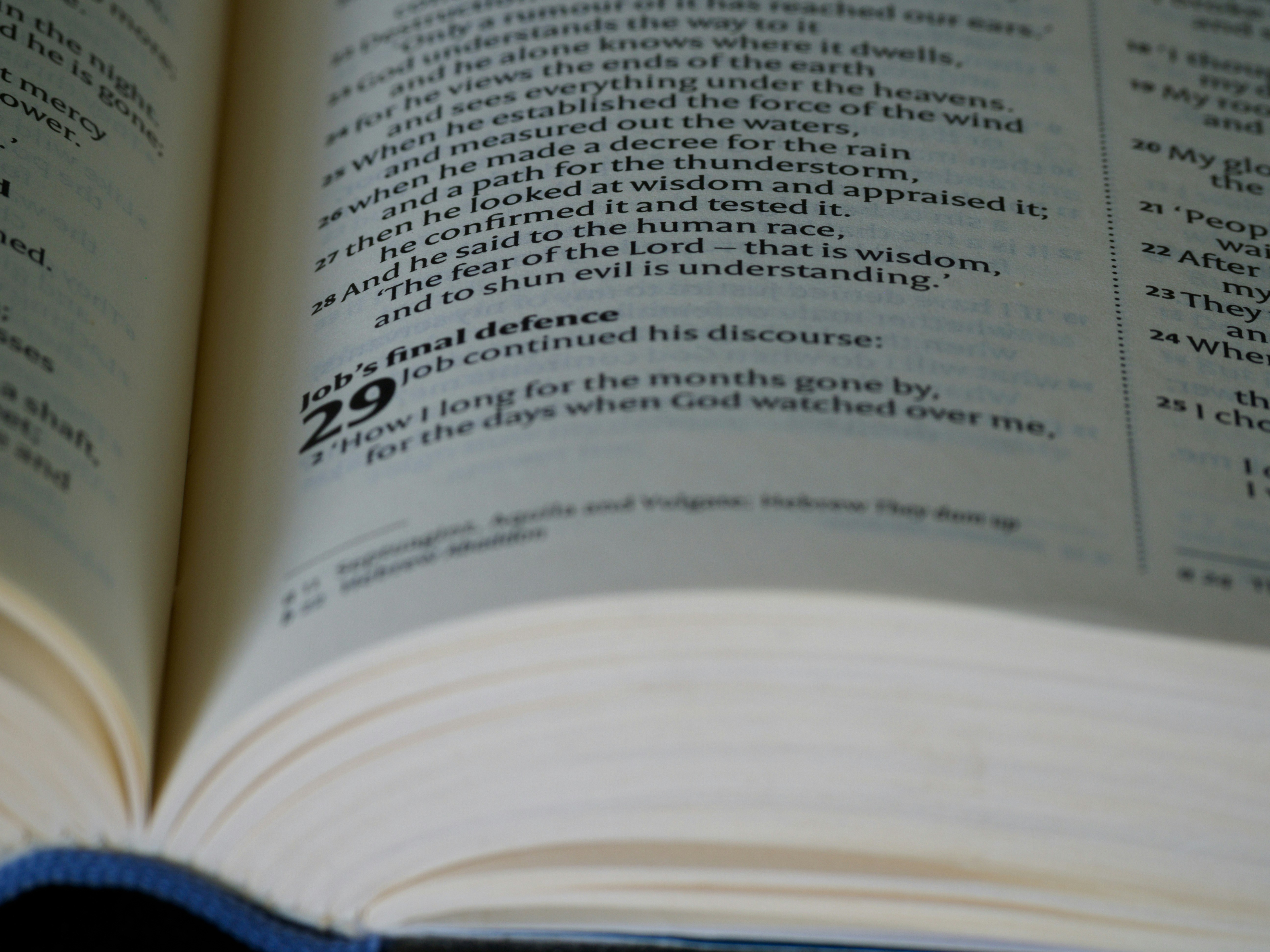 Photo by brett_jordan