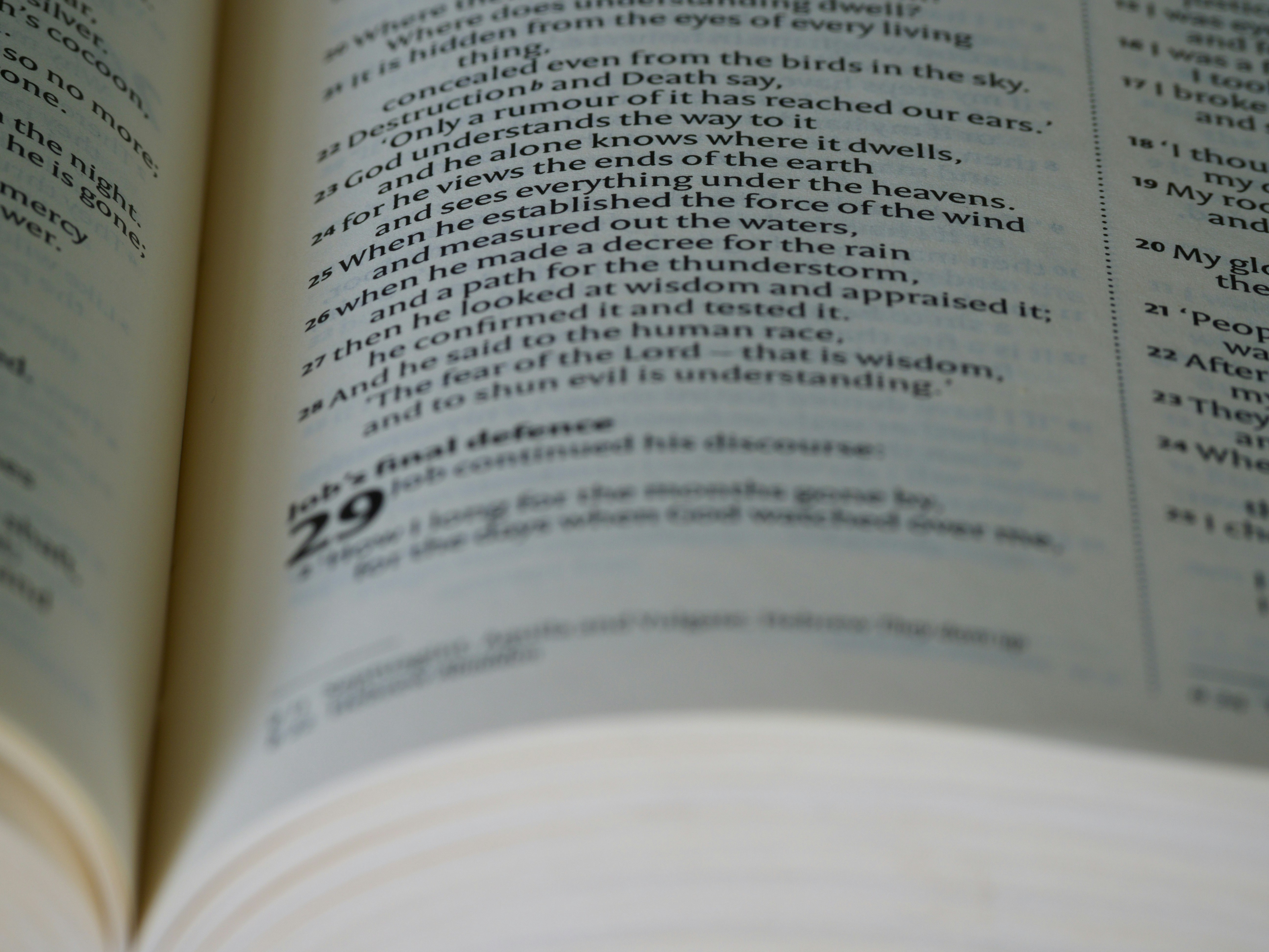 Photo by brett_jordan