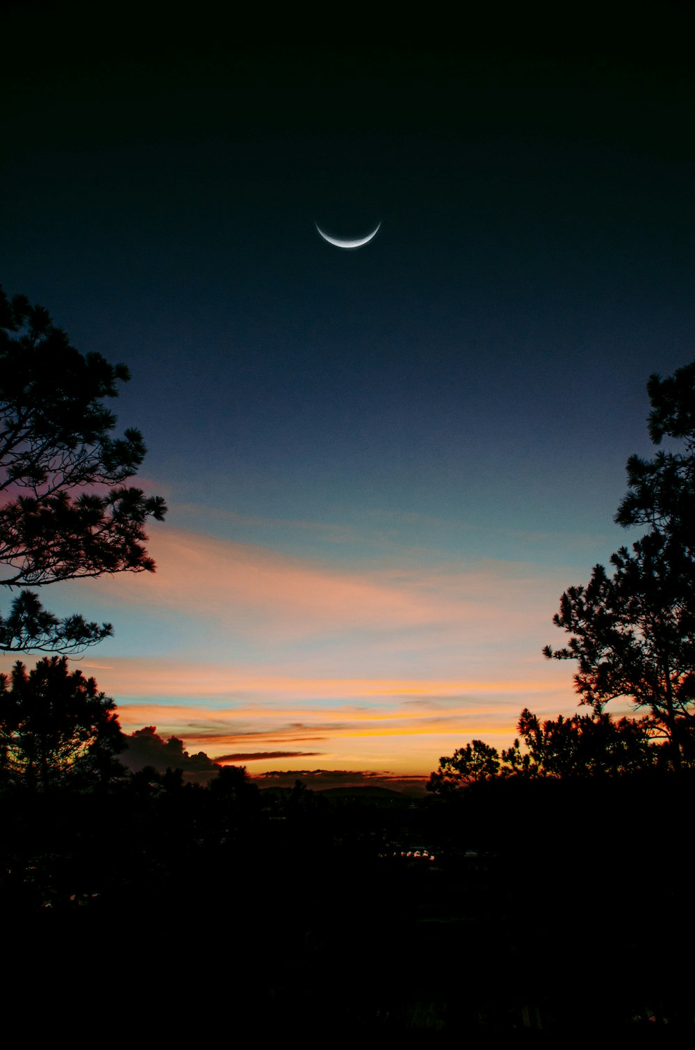 a crescent is seen in the sky above trees