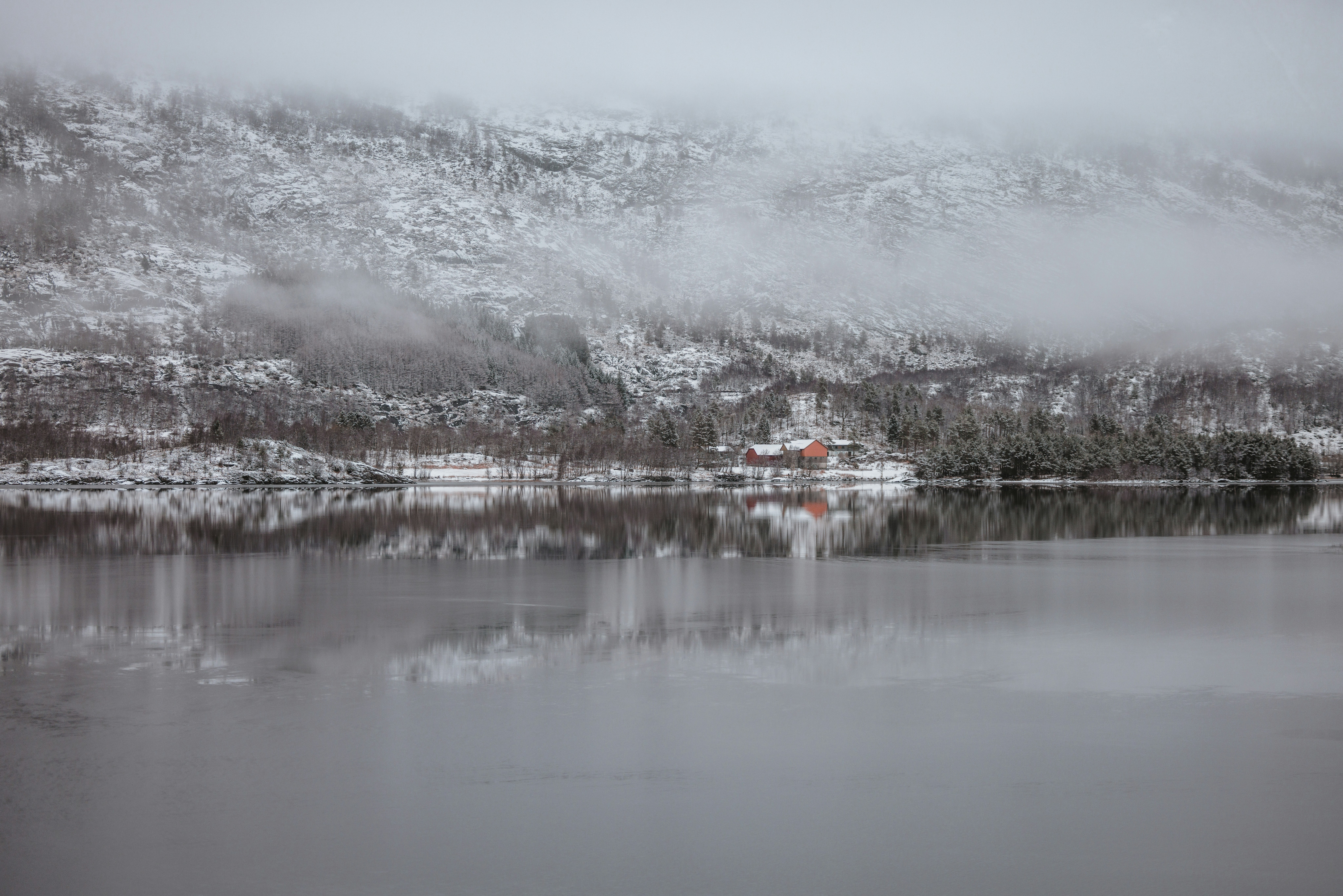 Photo by wanderingcrow