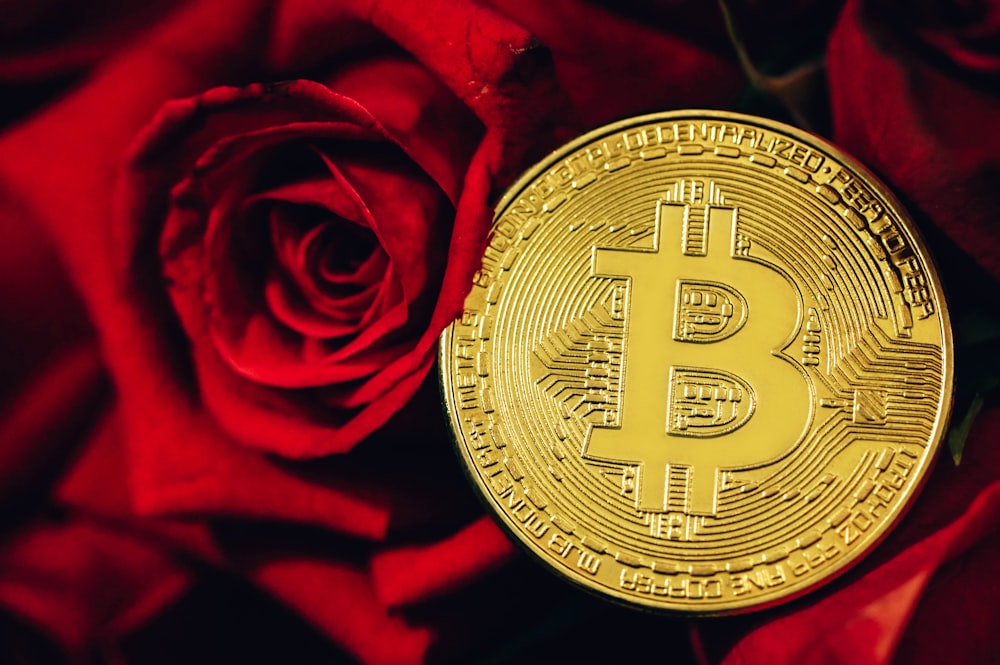 a bitcoin sitting on top of a red rose