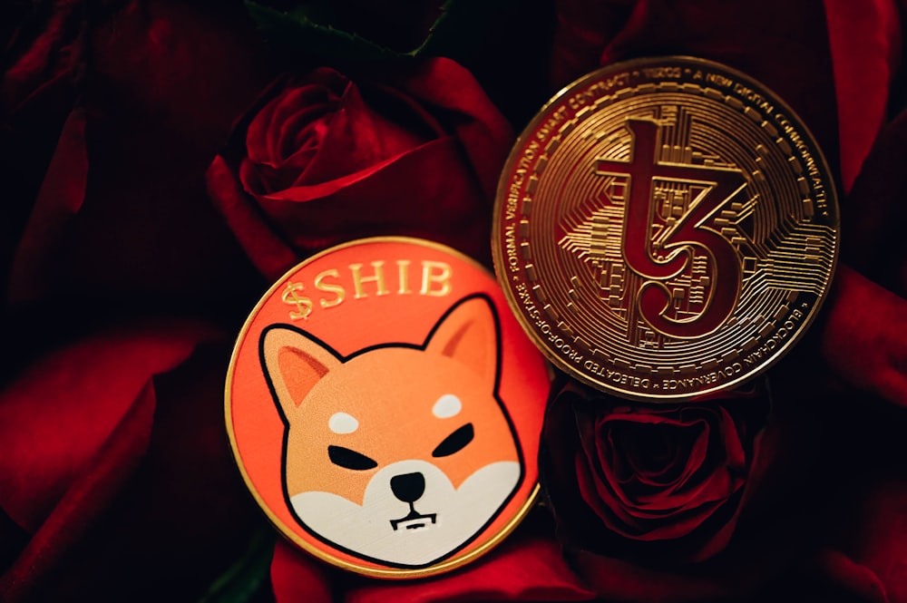 a close up of a coin and a rose