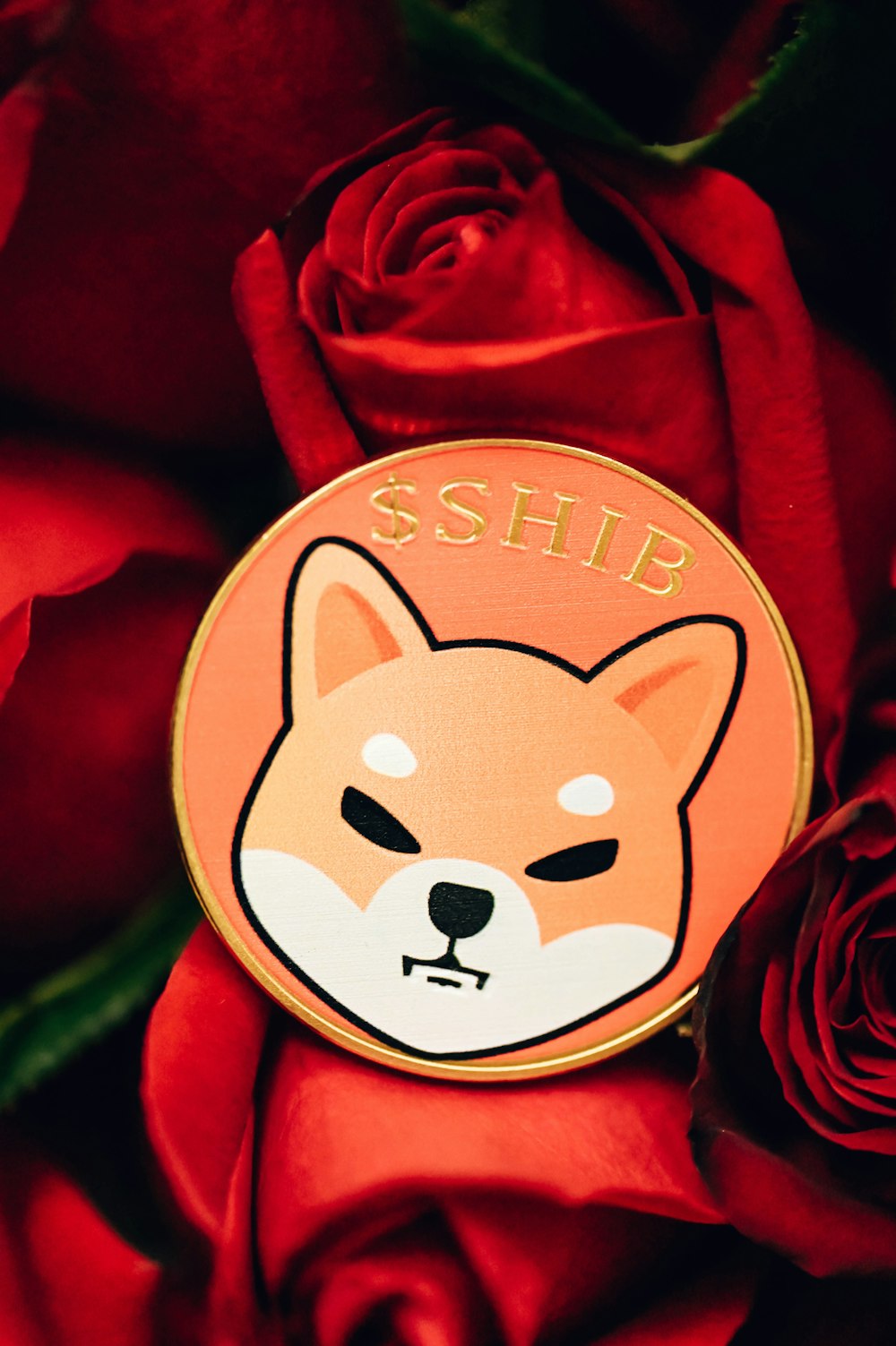 a close up of a red rose with a sticker on it