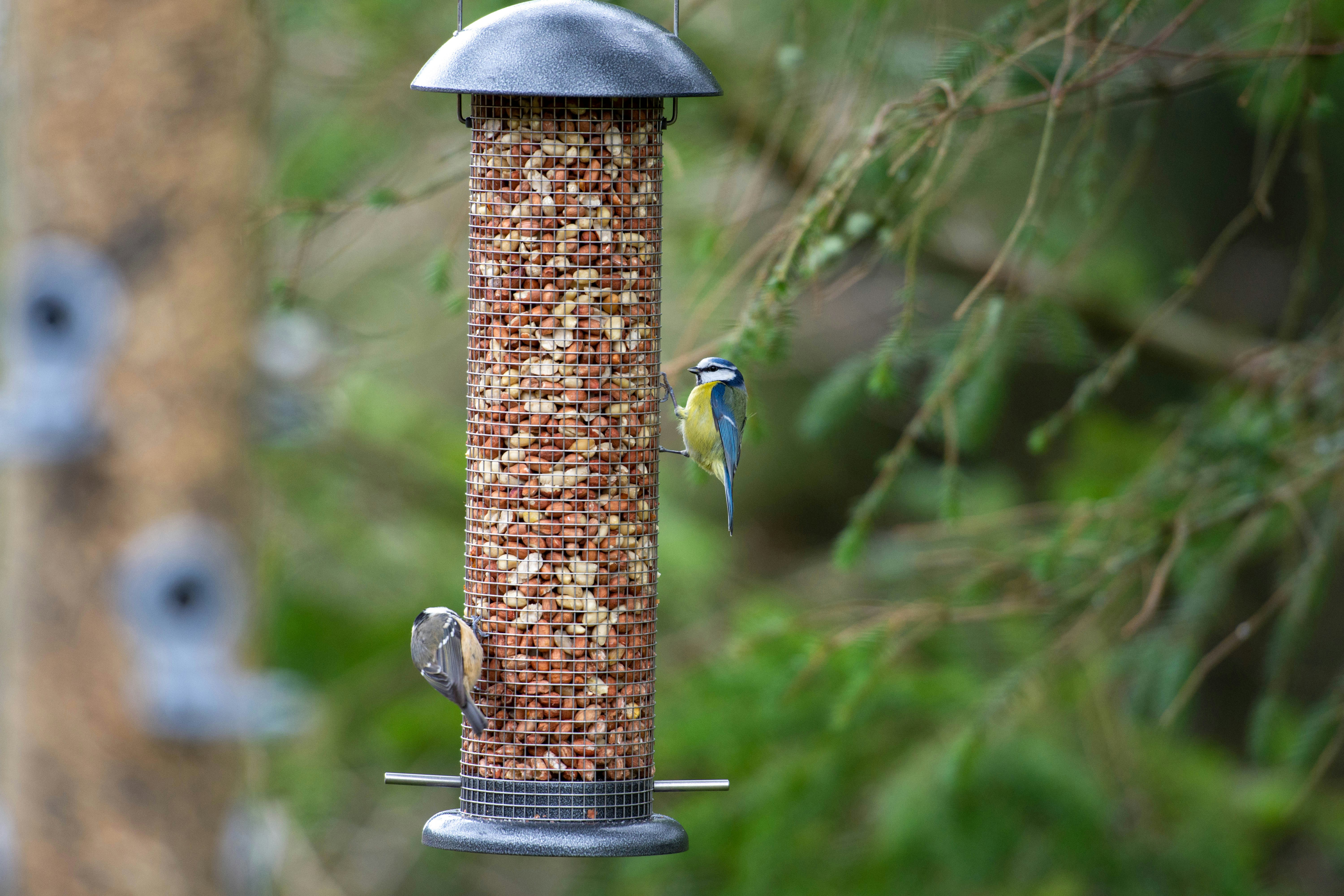 Photo by maplerockdesign