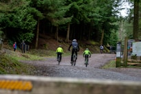 a couple of people riding bikes down a dirt road