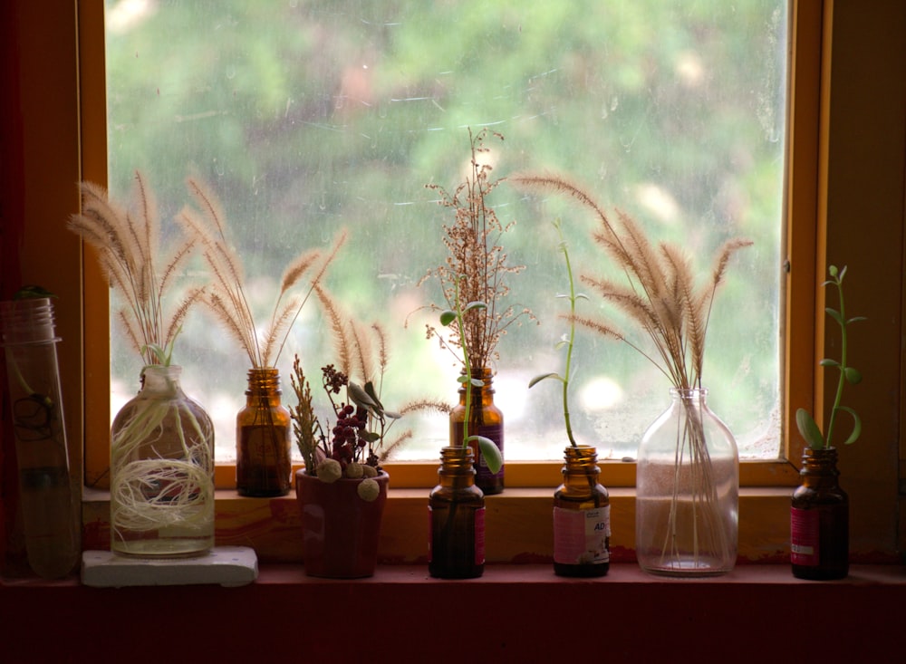 a window sill filled with lots of bottles and plants