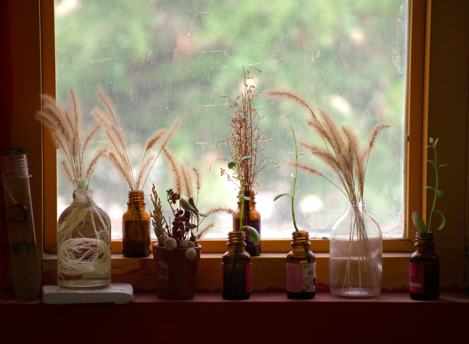 Botanical oils and dried grasses on a sunlit window sill