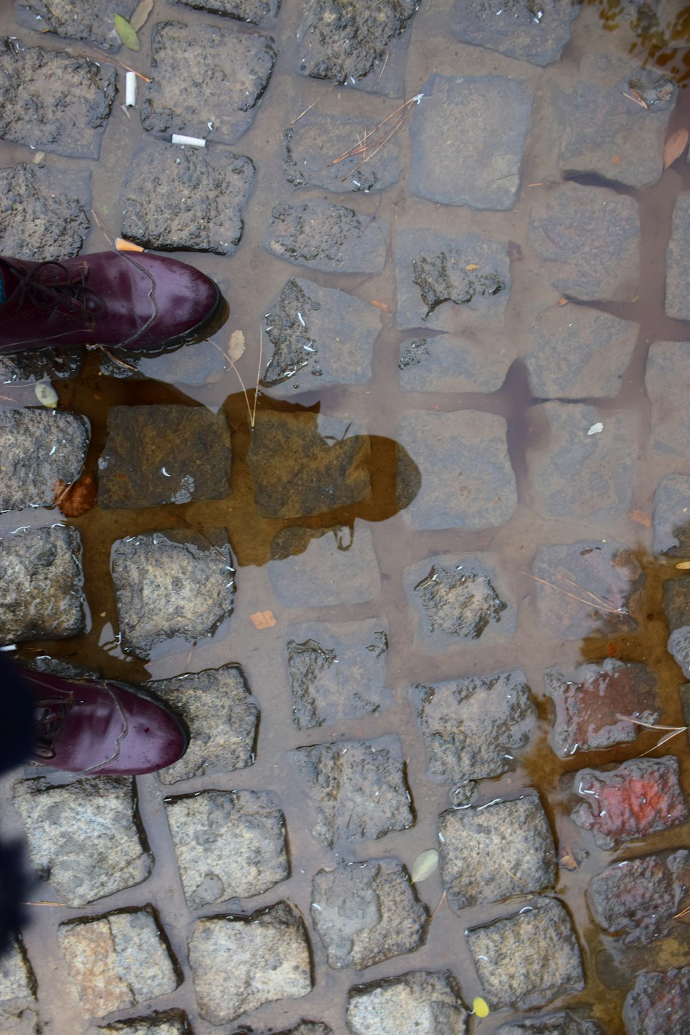 a person standing on a cobblestone road next to a puddle of water