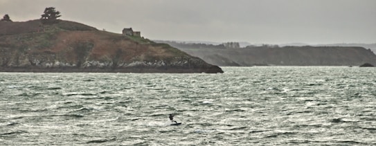 A coastal landscape features a large body of choppy water in the foreground and a rocky, tree-lined shoreline in the background, with a small house perched on the hill. The sky appears overcast, adding a gray tone to the scene. A person is visible surfing in the water, braving the waves.