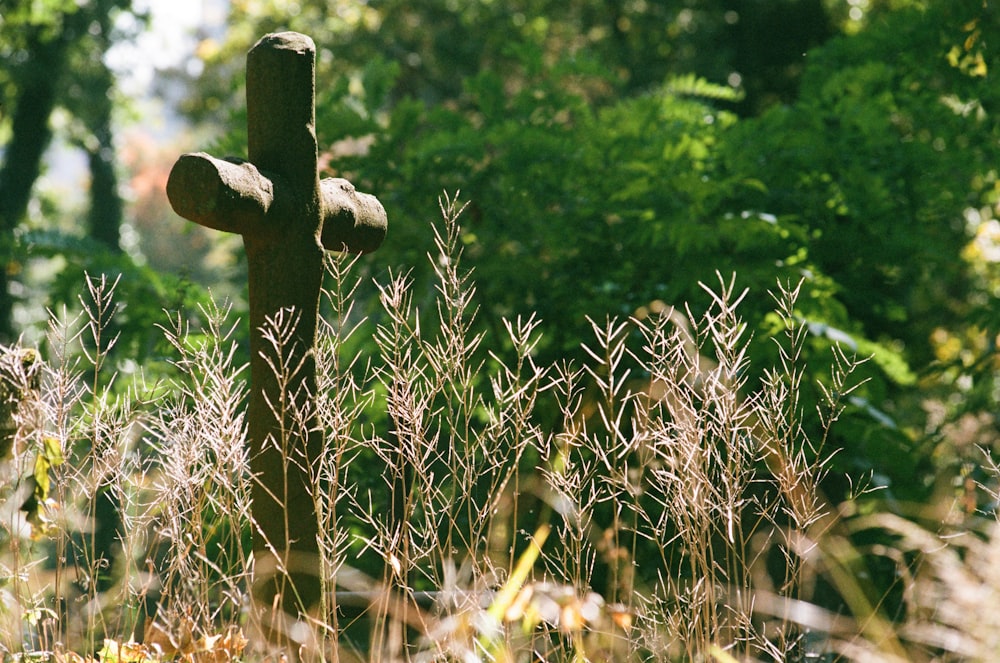 a wooden cross in a field of tall grass