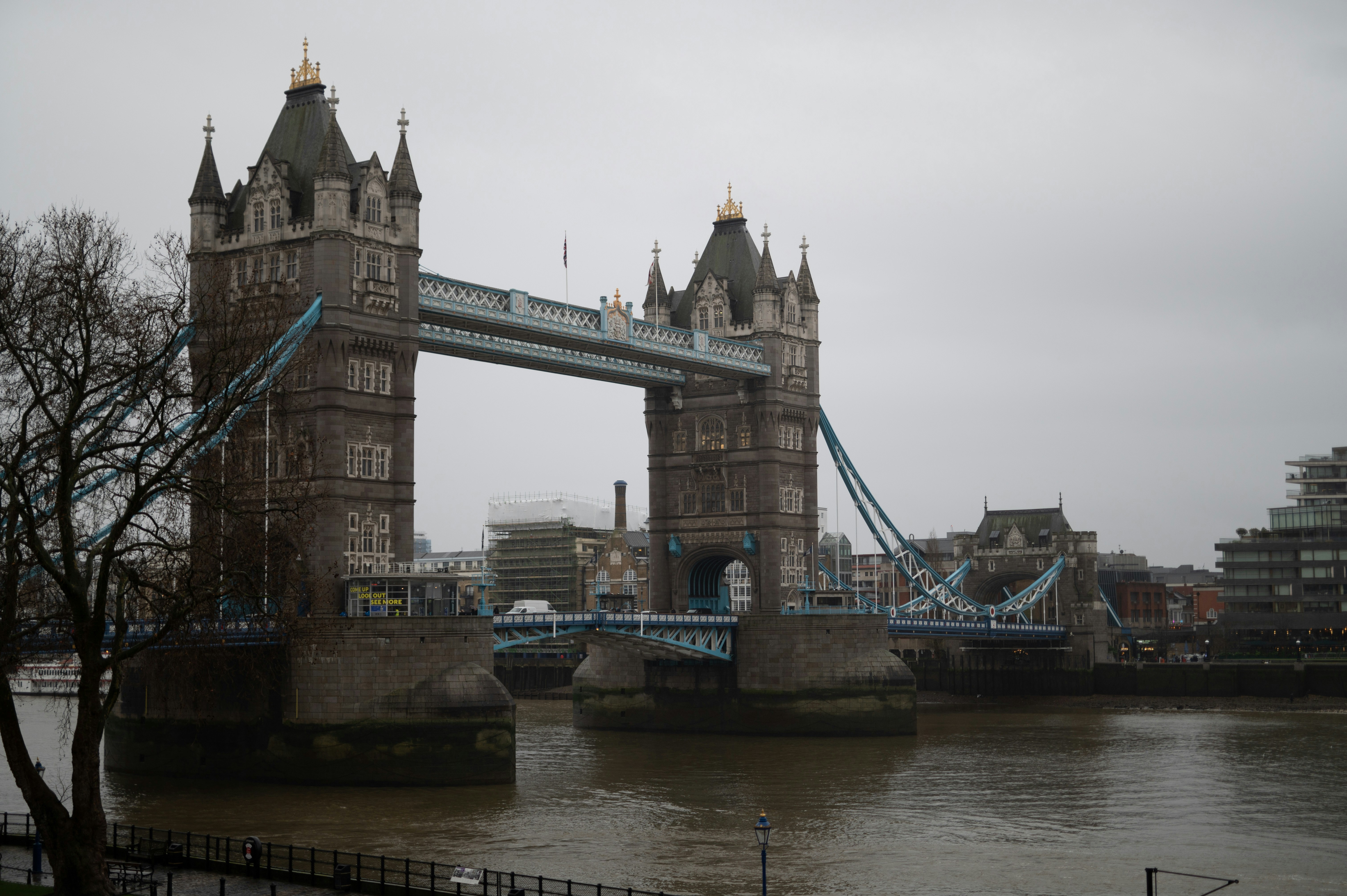 Photo by phoenix_2022