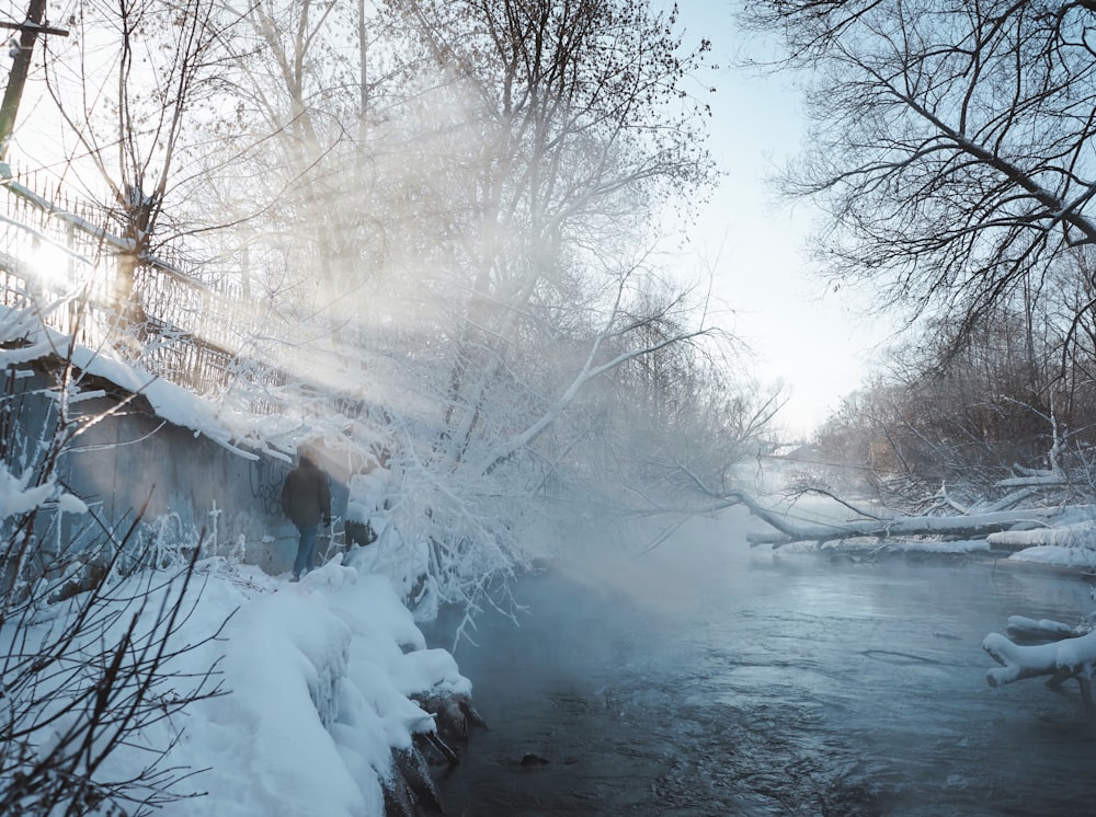 a river running through a forest covered in snow