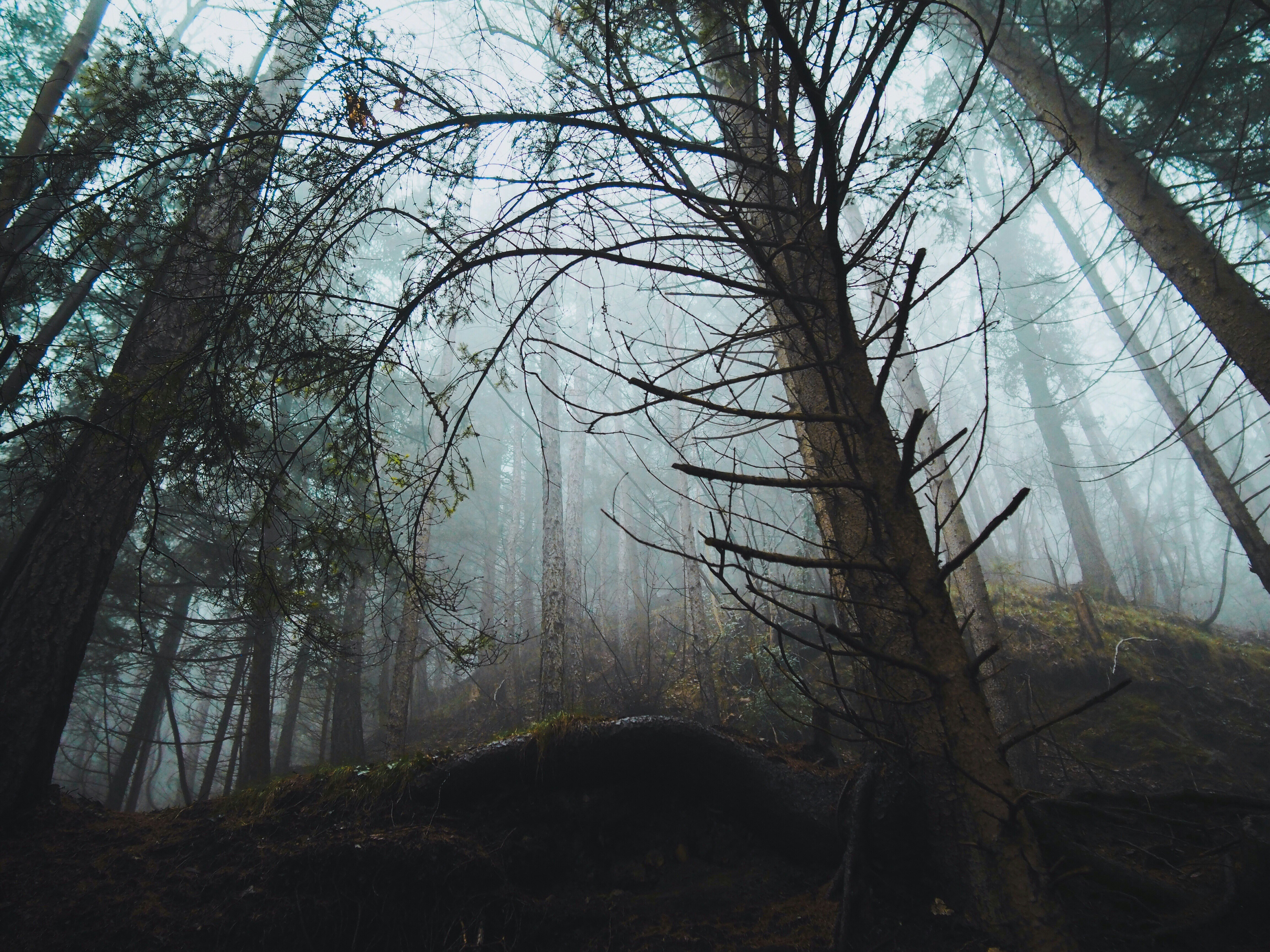 Photo by veragorbunova