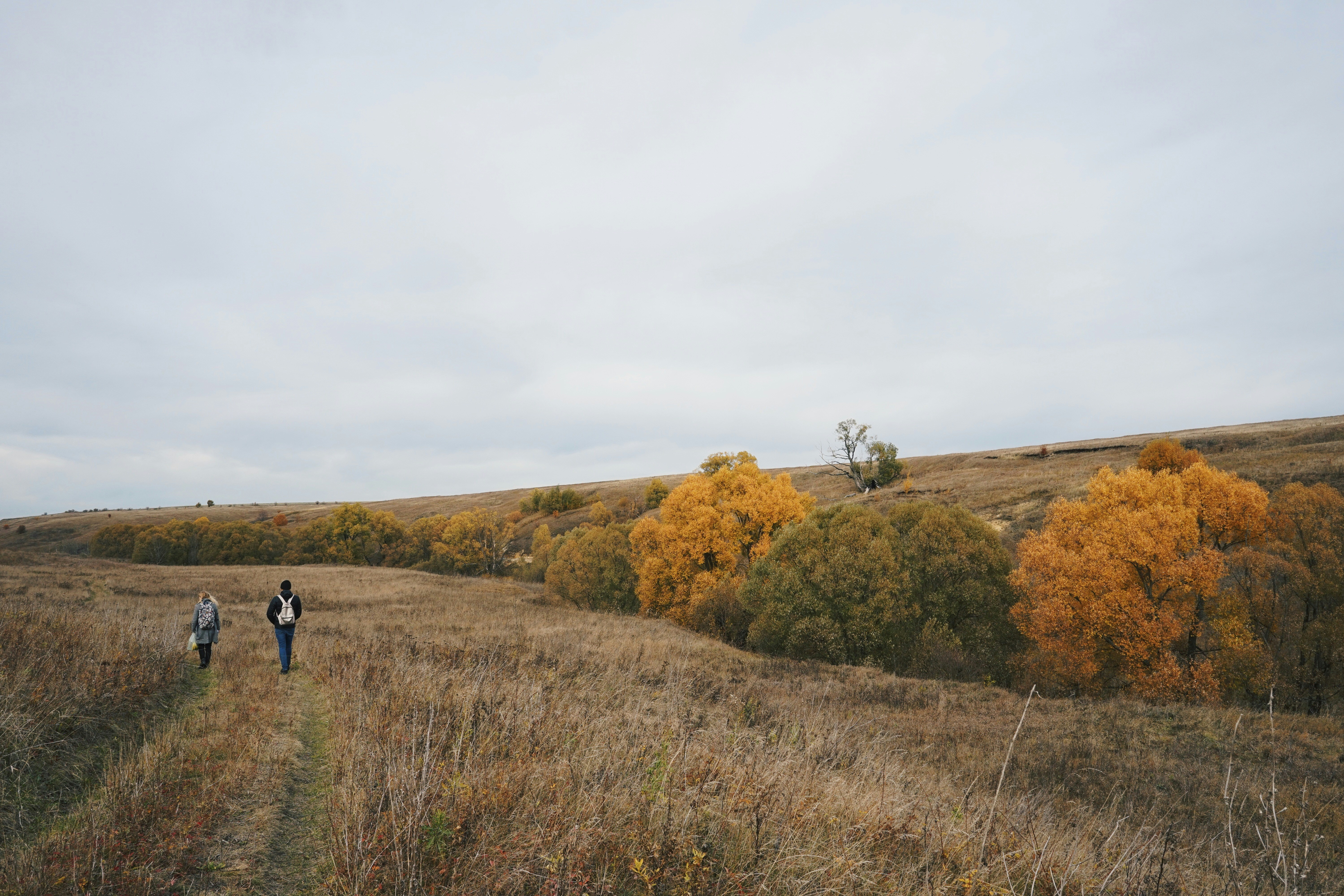 ein paar Leute, die auf einem Feld spazieren gehen
