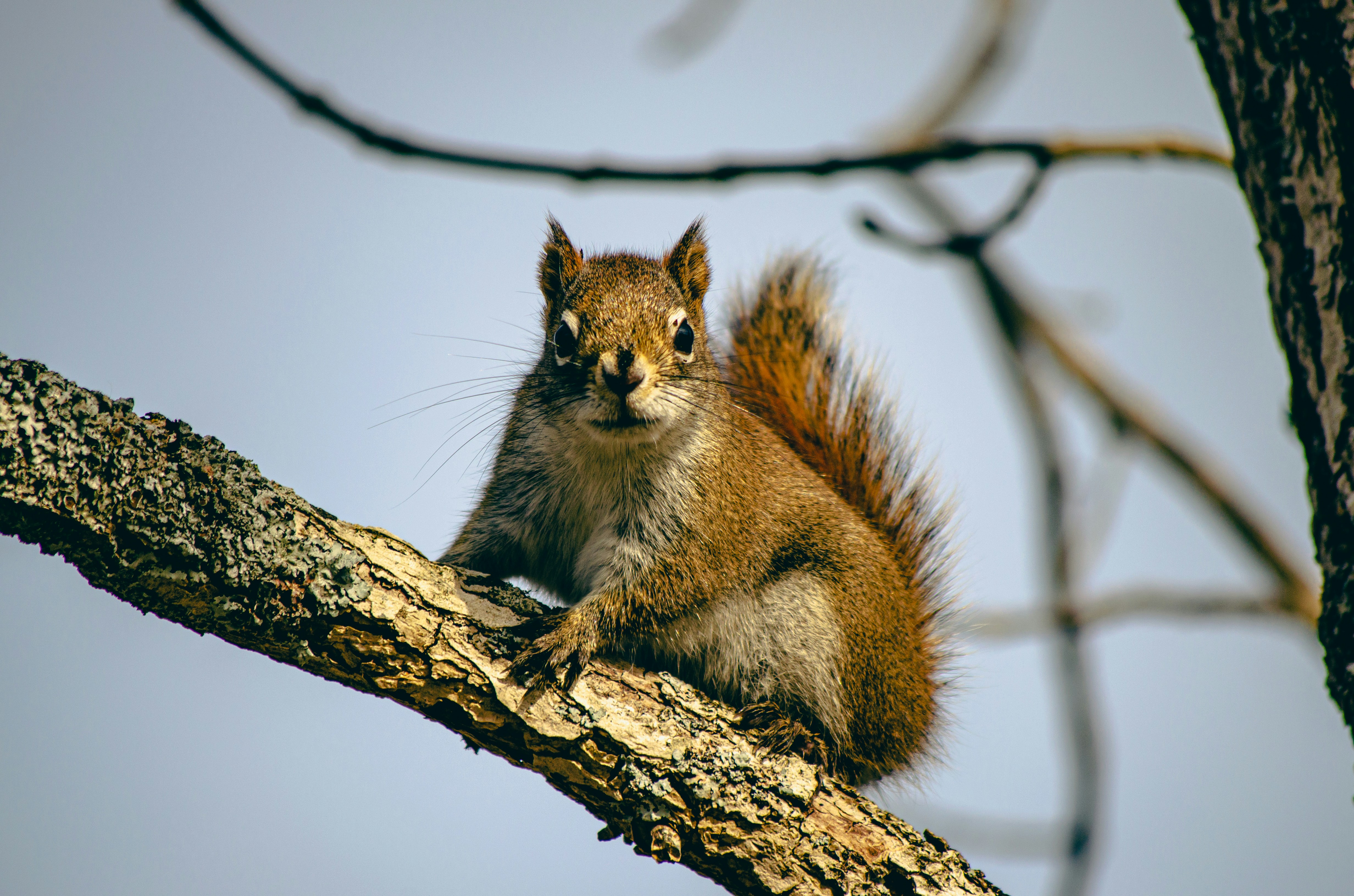 Photo by codywestphoto