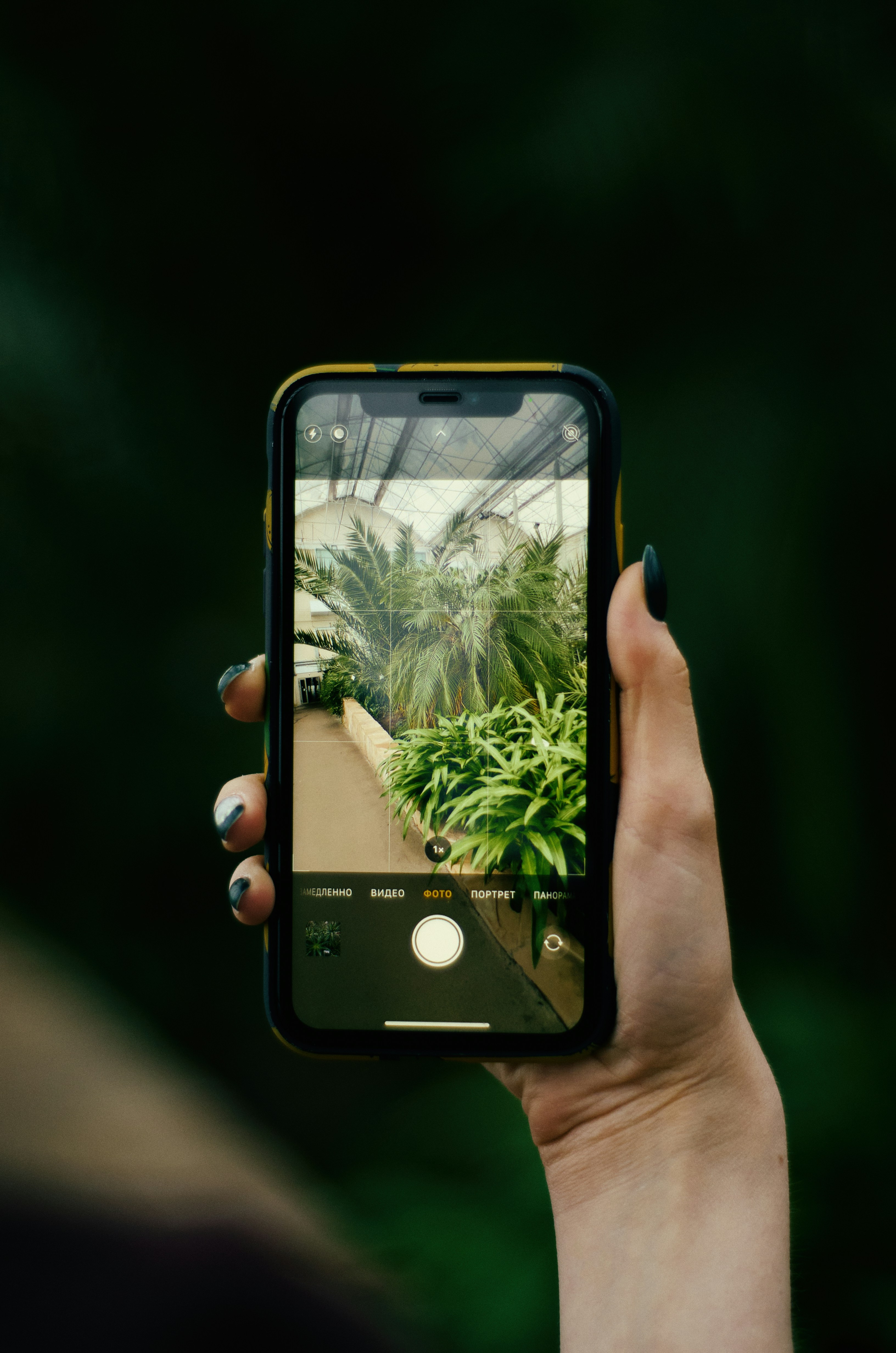 정품미프진, 미프진구매