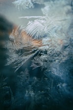 a blurry image of a river