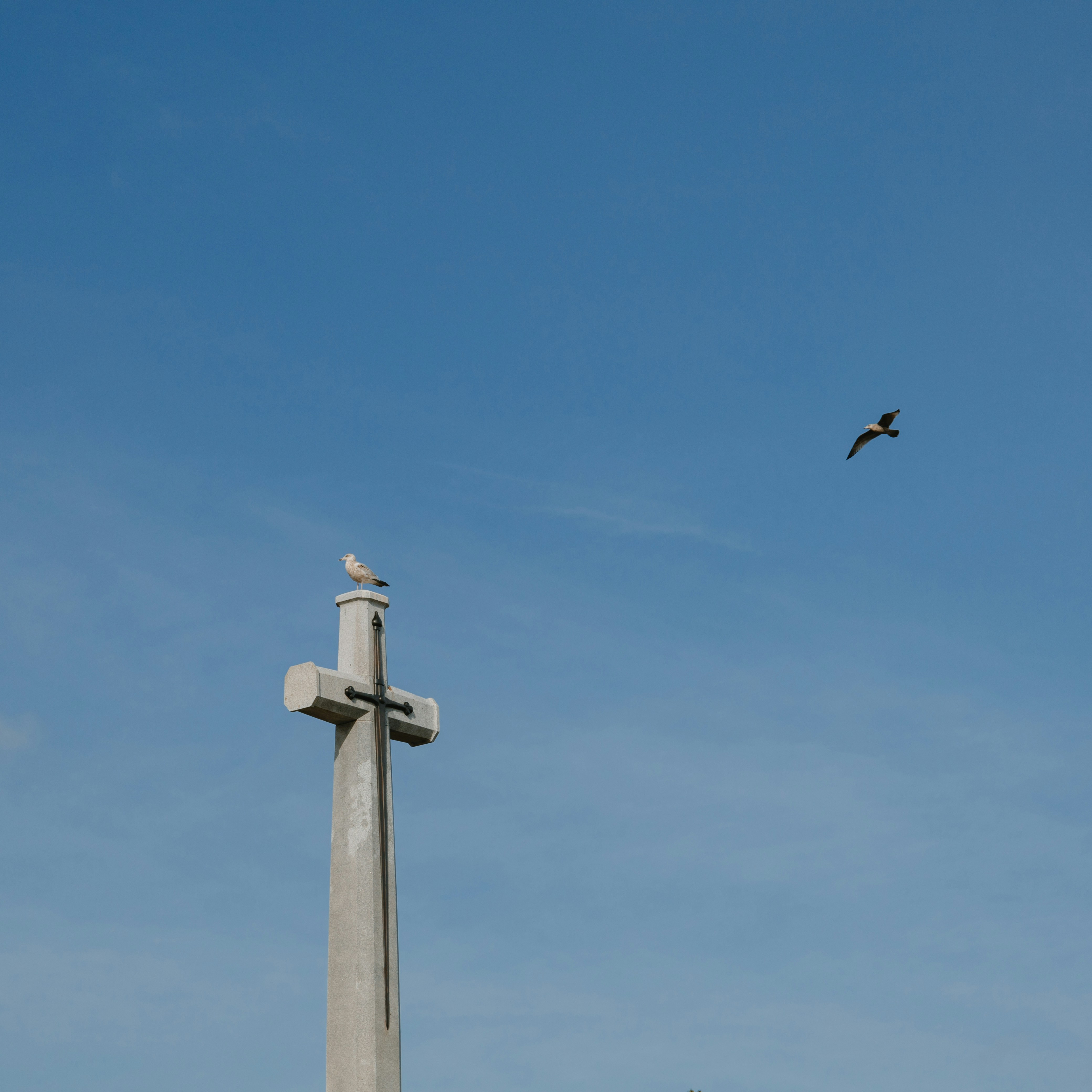 Photo by janwalterluigi