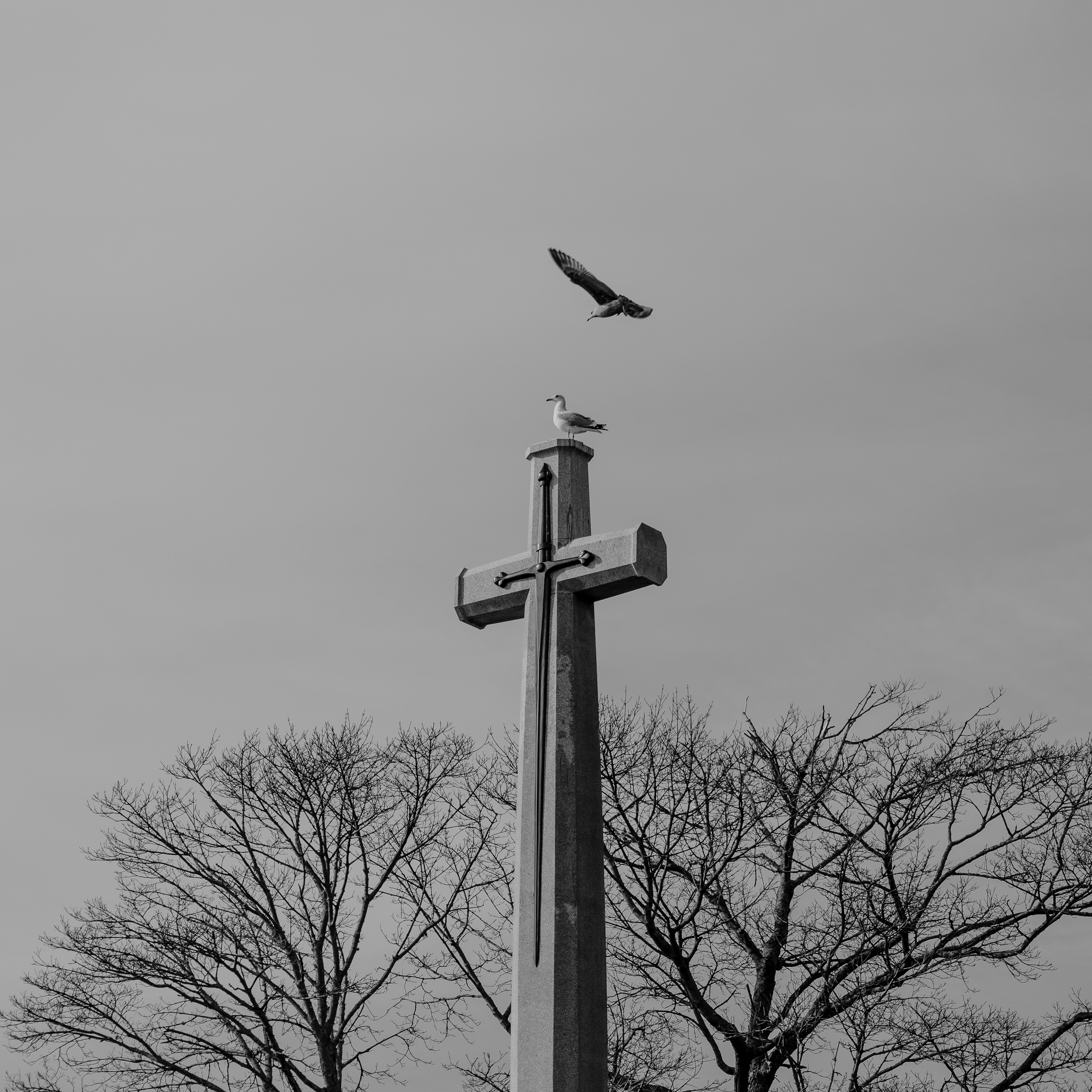 Photo by janwalterluigi